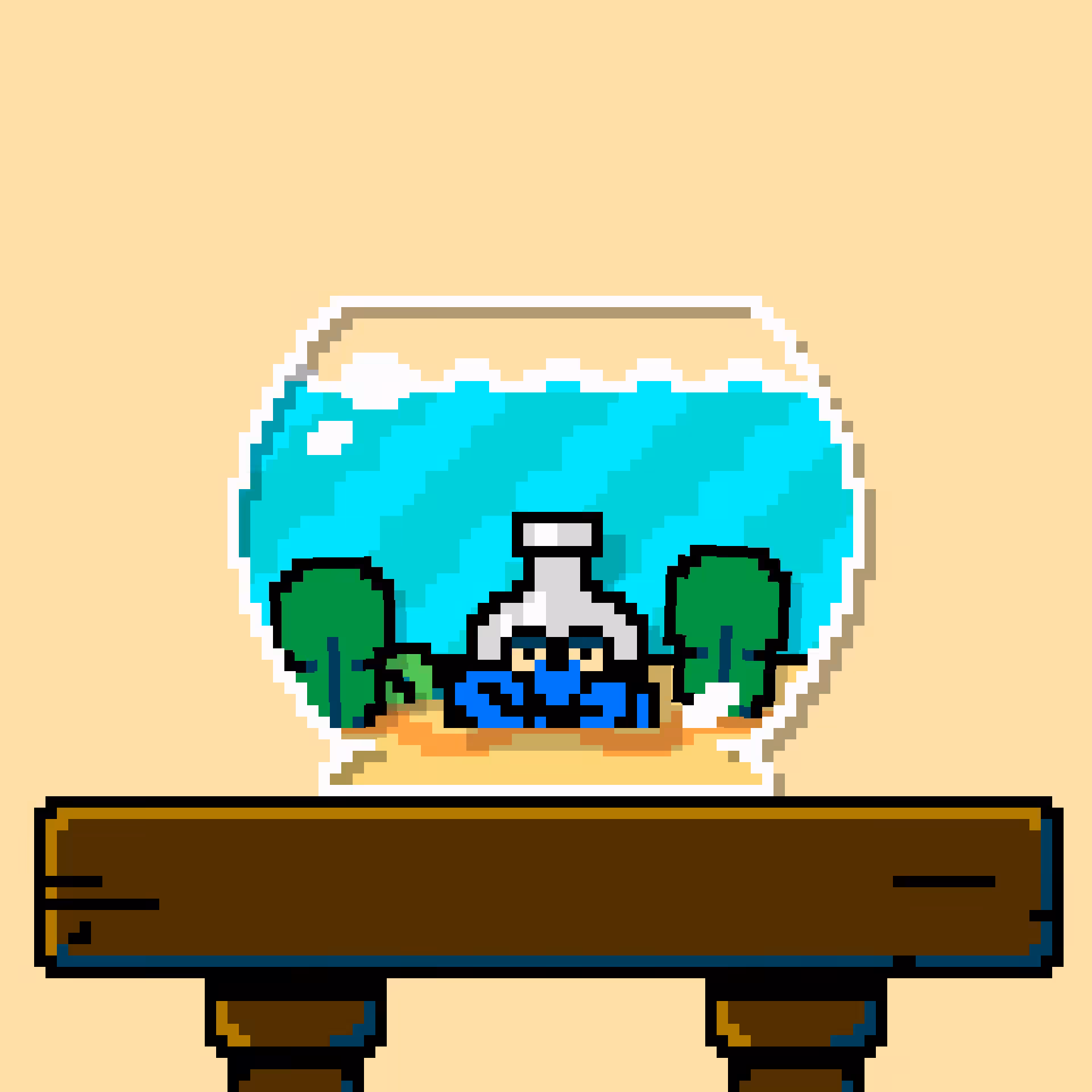 hermit crab #9