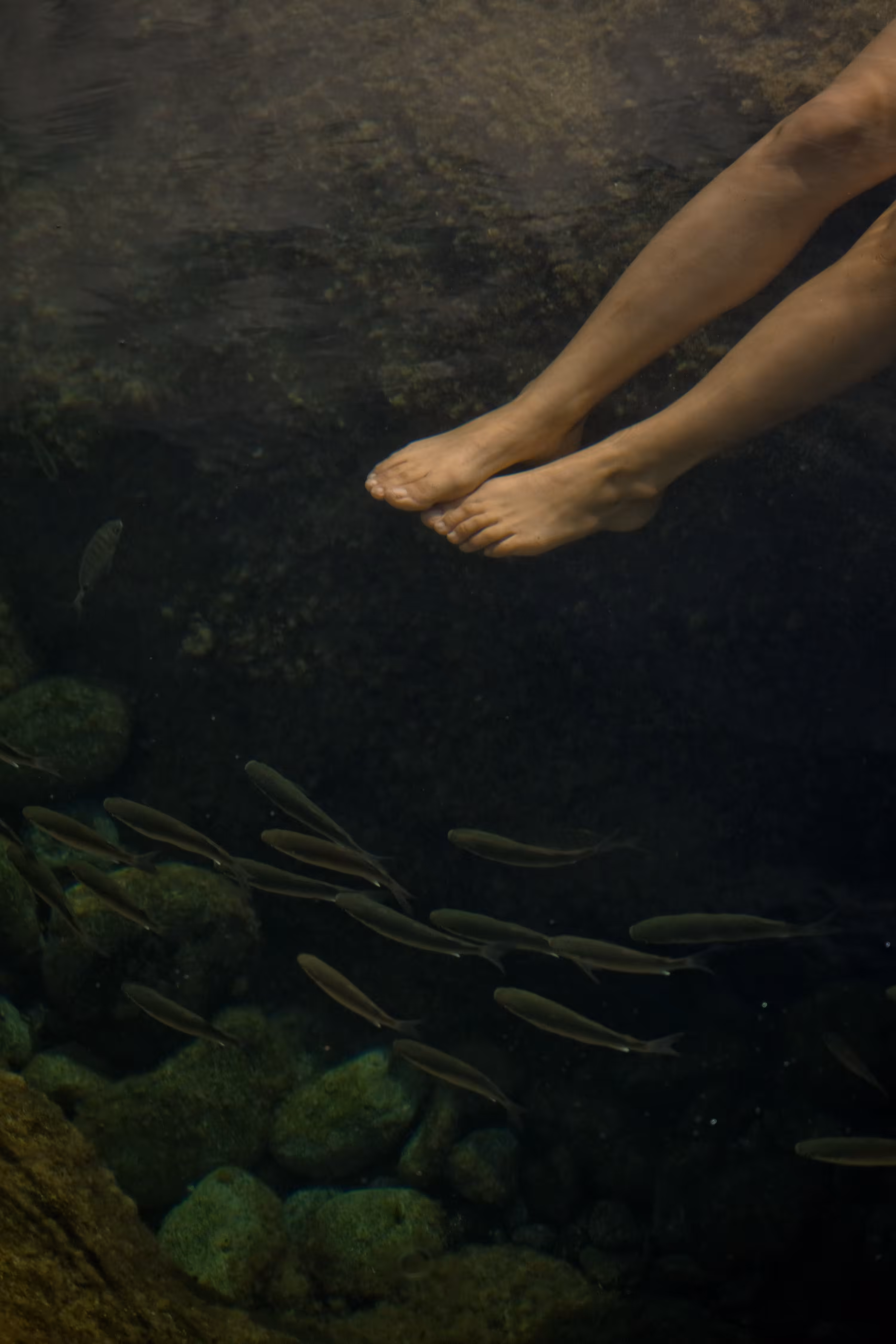 Agua