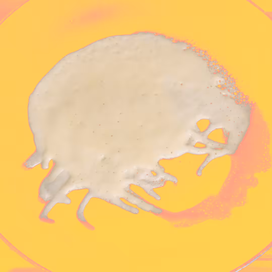 CryptoPancake$