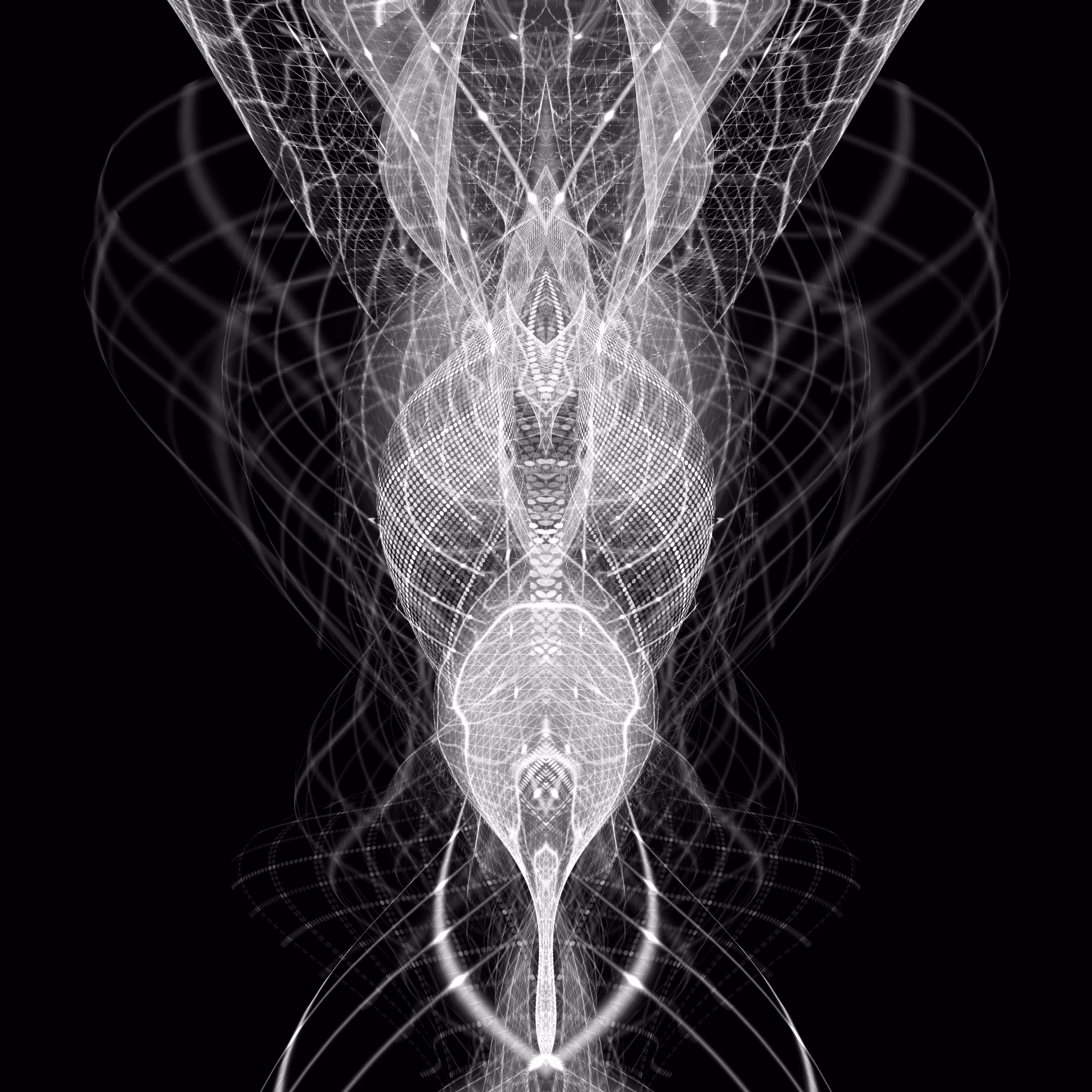 dark flow D5