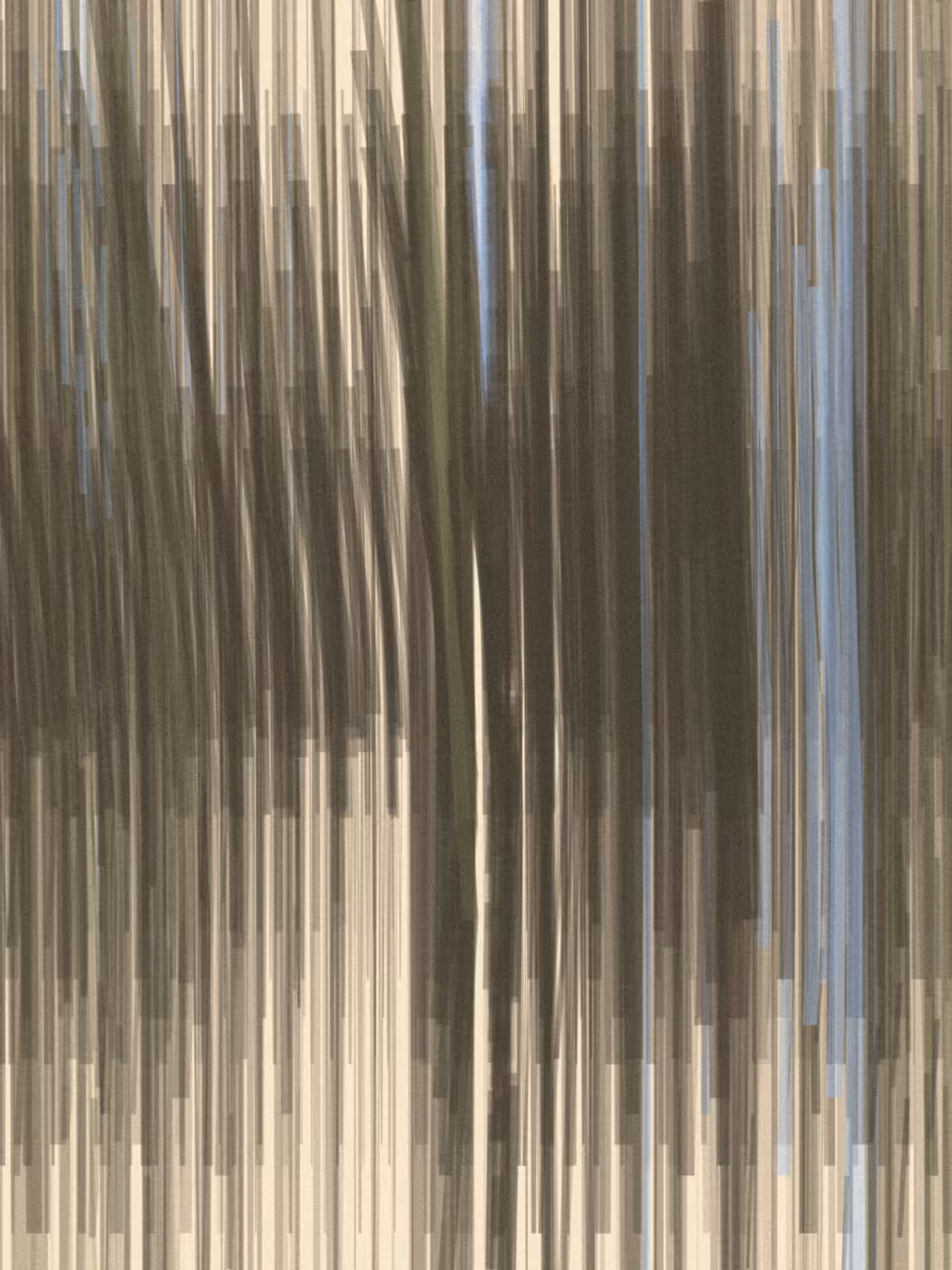🄷🄰-3 #339