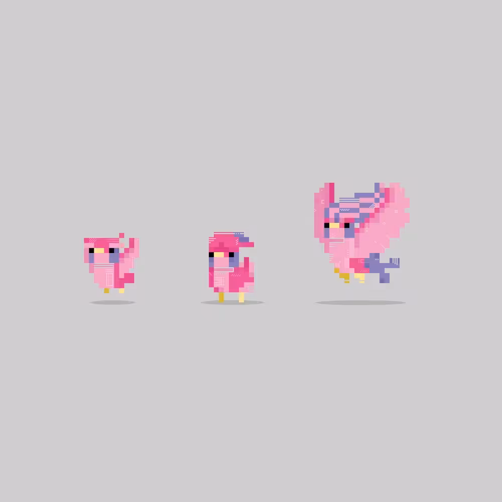PXLPET 19-21 [EVOLUTIONS EDITION]