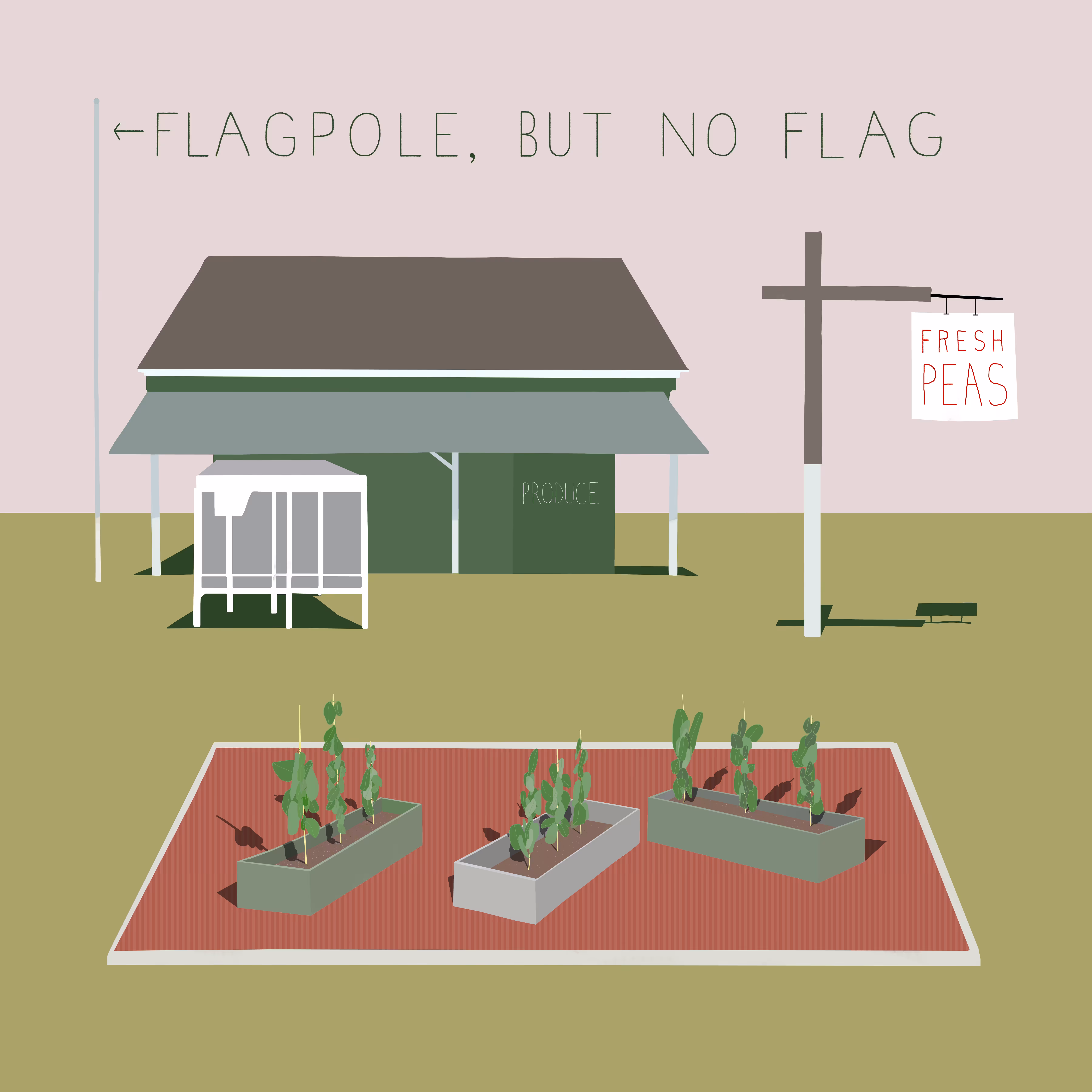 Flagpole, But No Flag