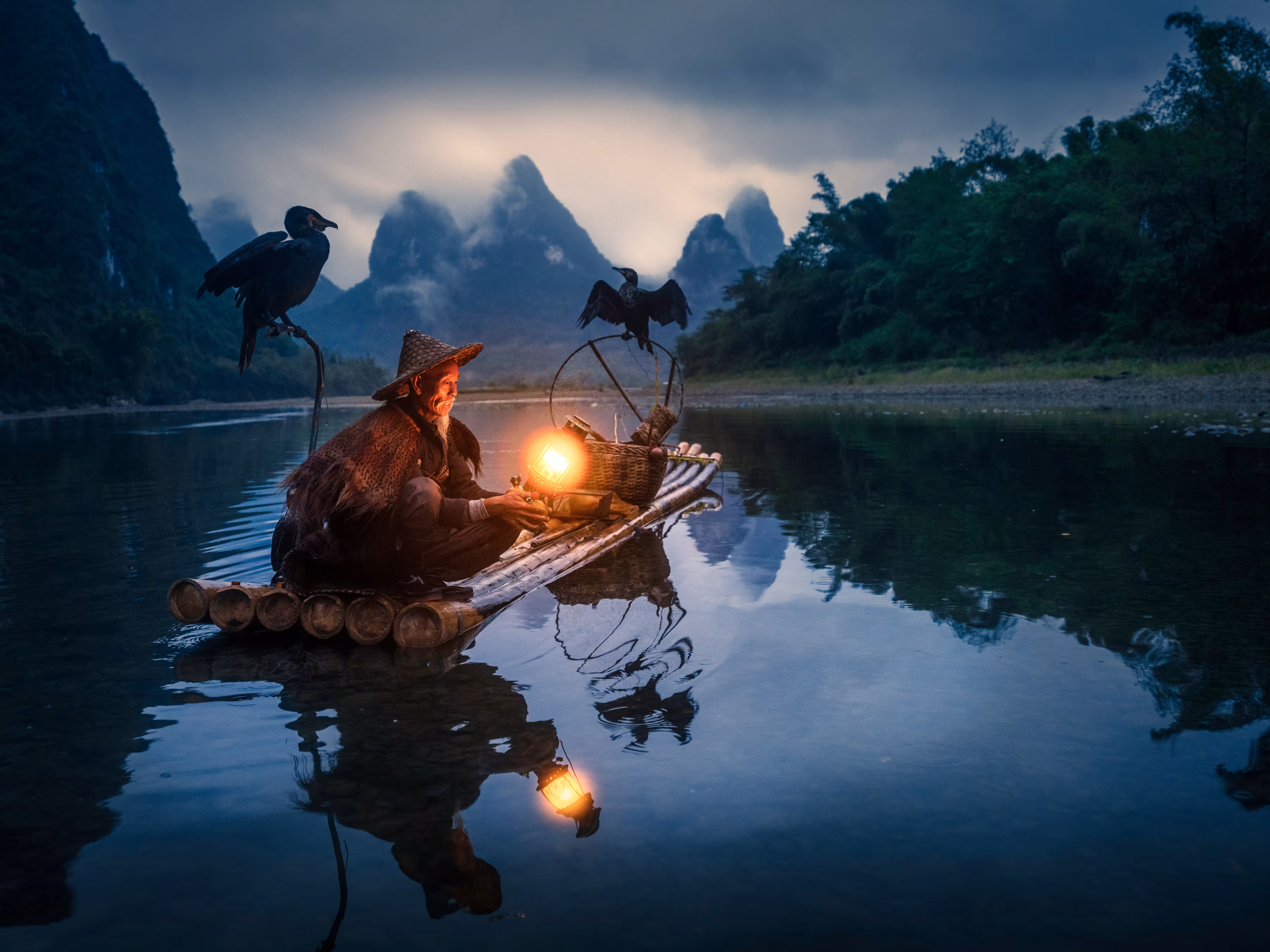 The Master and the Cormorants 2