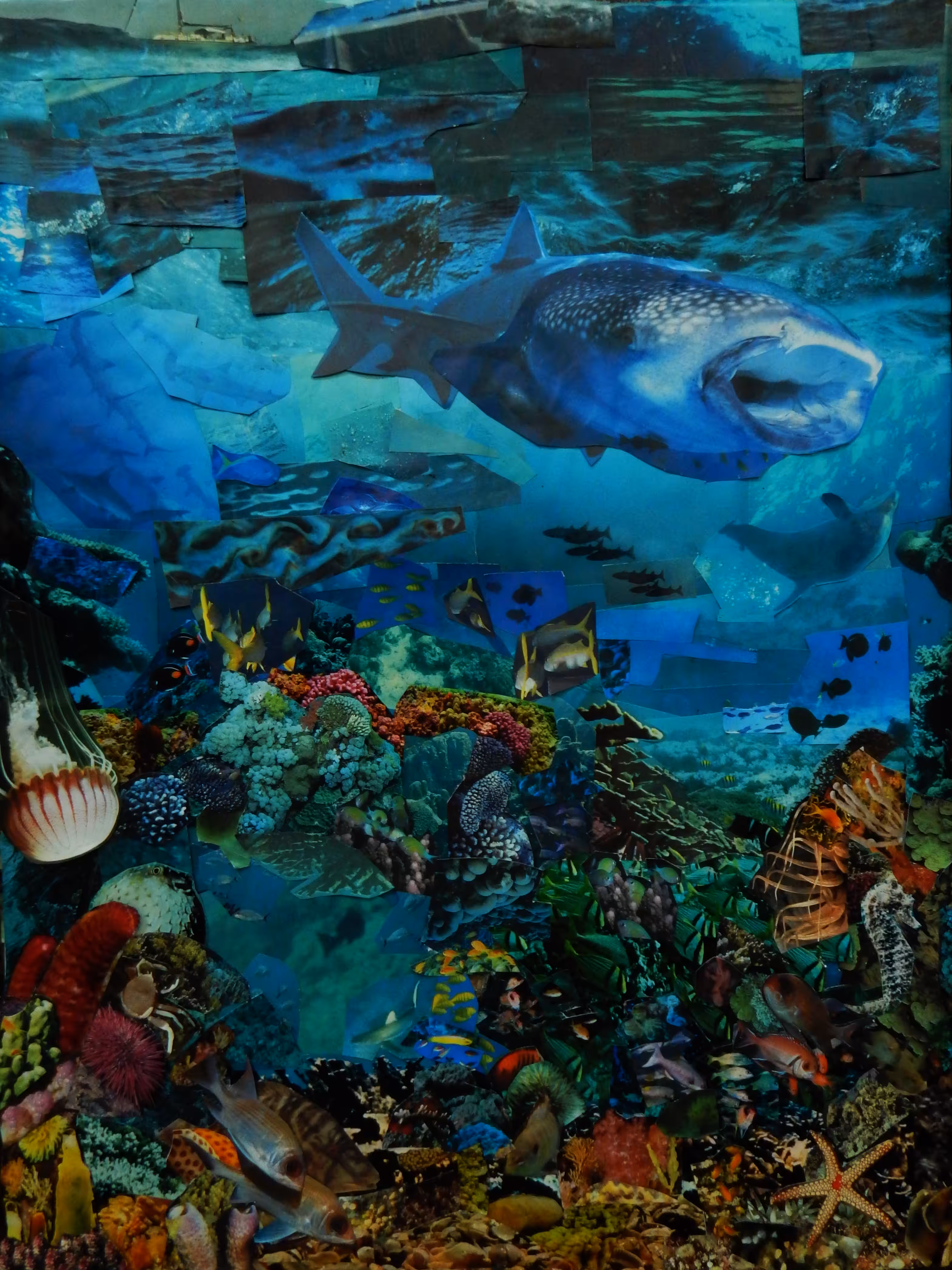 David's Occult Sea
