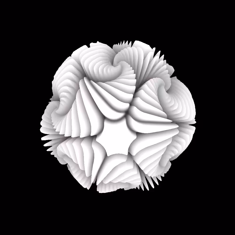 ORB #004