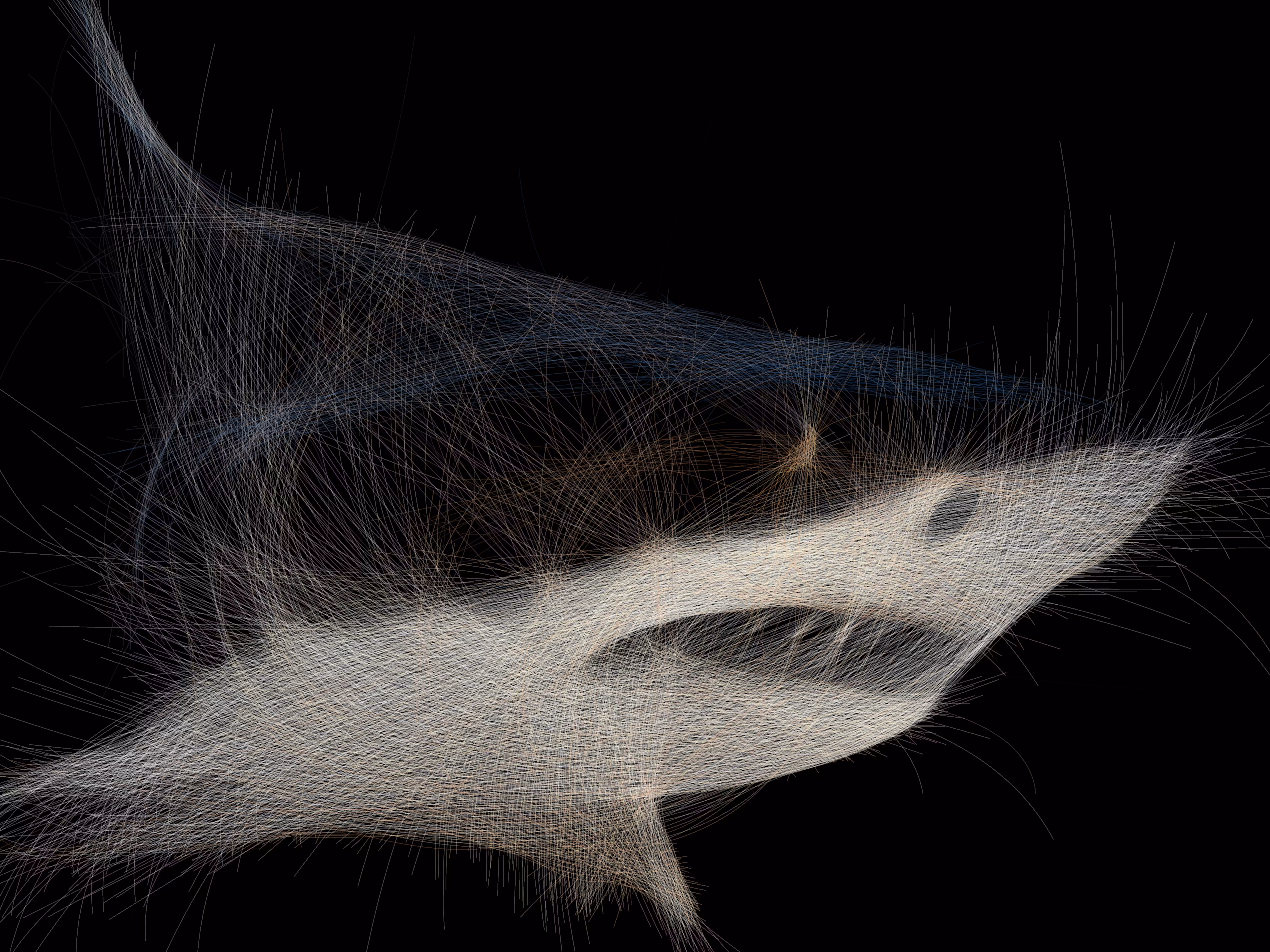 Underwater 262
