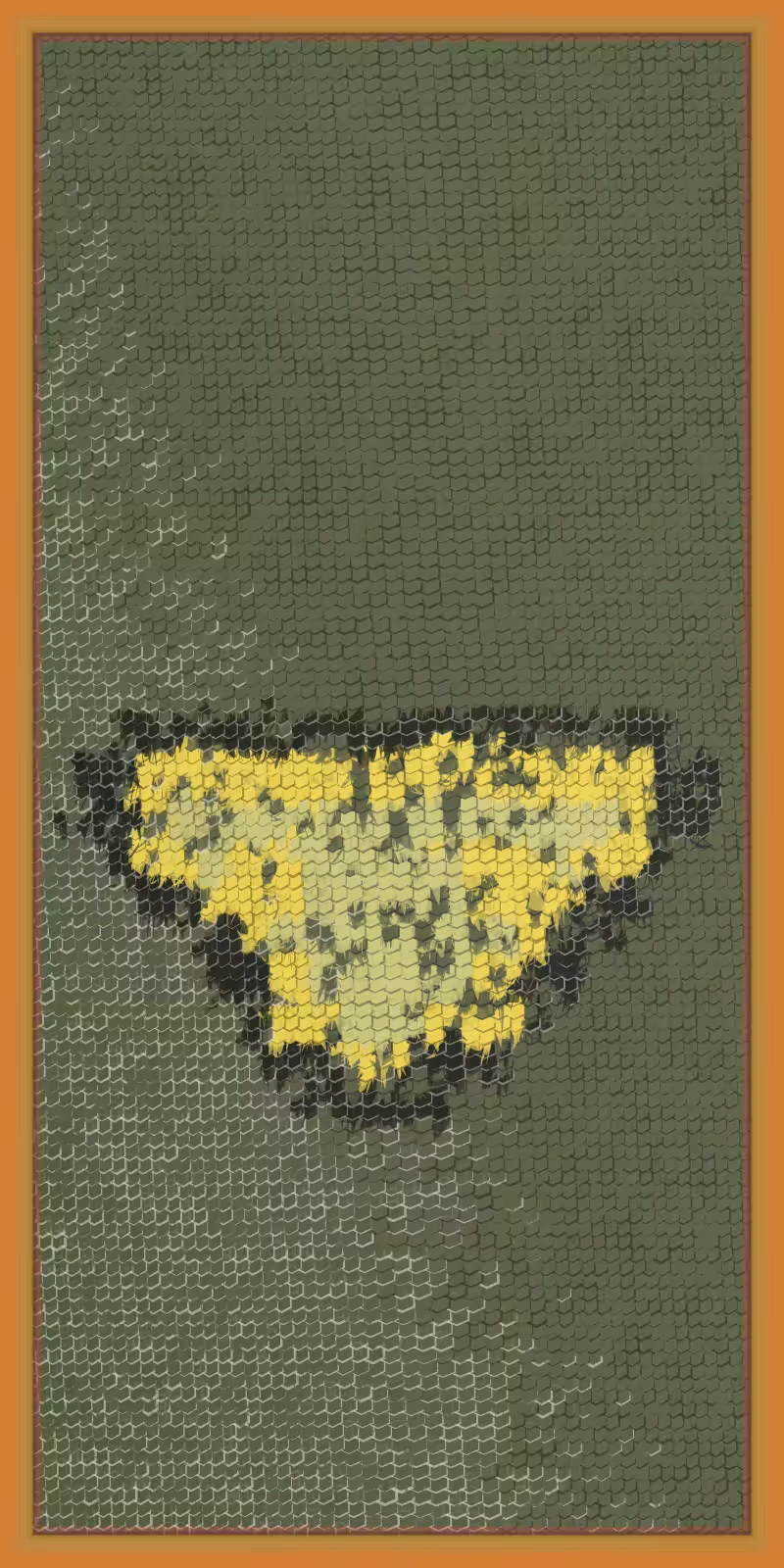Glimpse Of Draeconian Epidermis & Tapestry #141