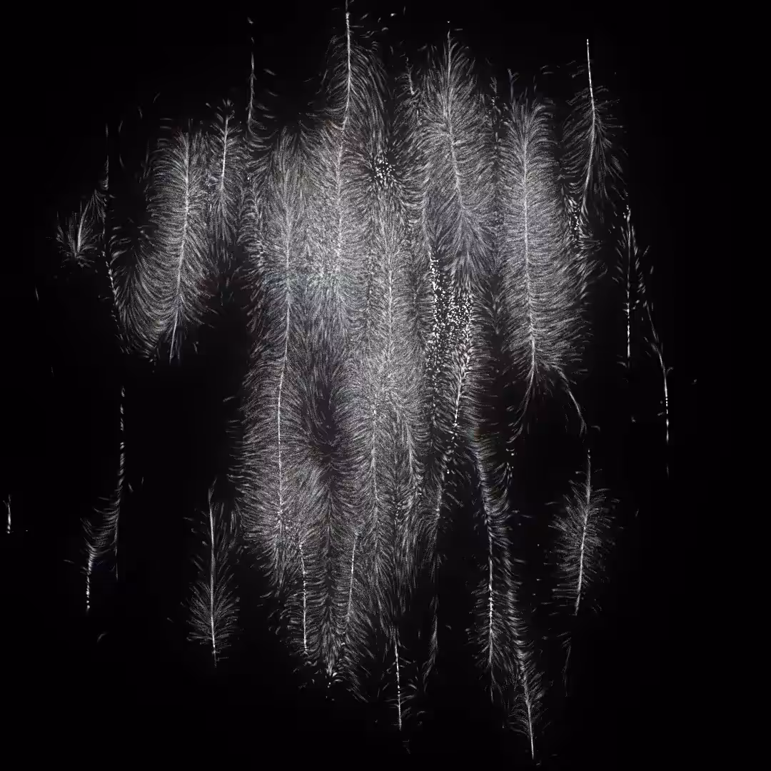 Rodeo posts: feather flock