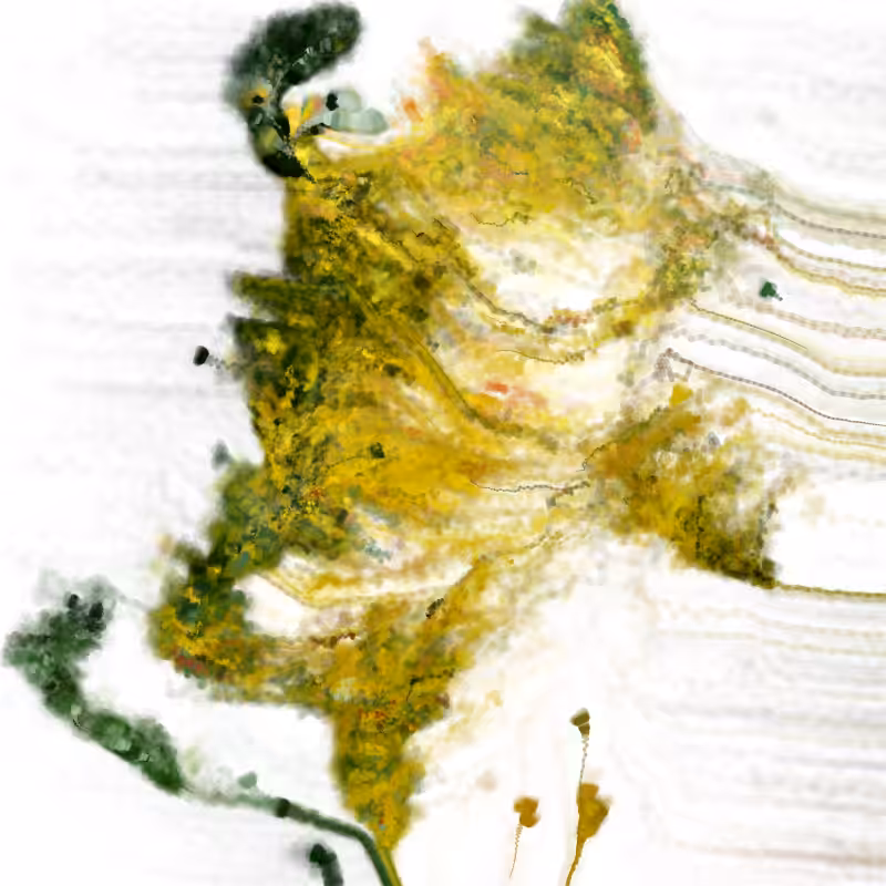 Hypericum #152