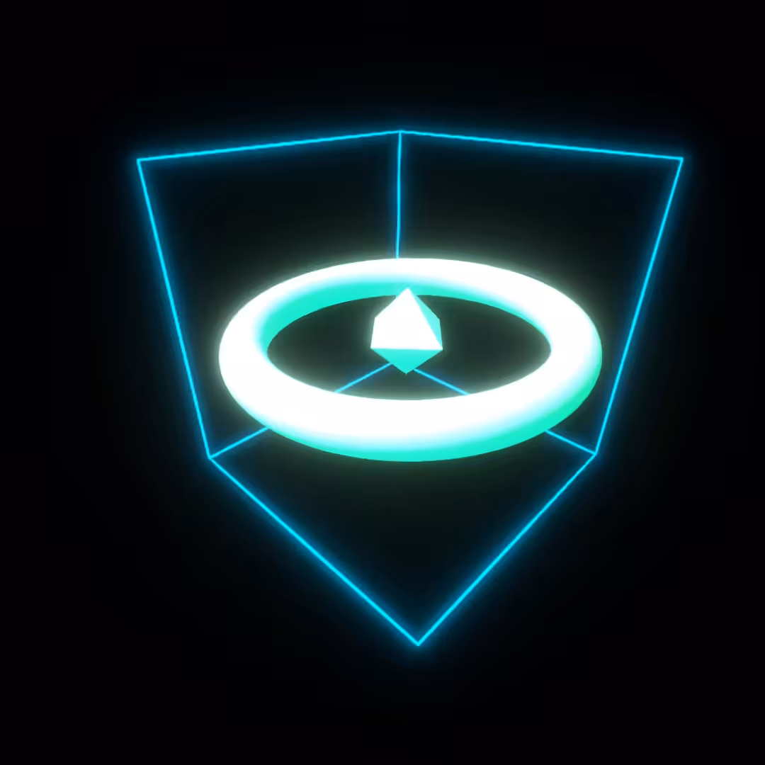 Contained #2 // Torus Web