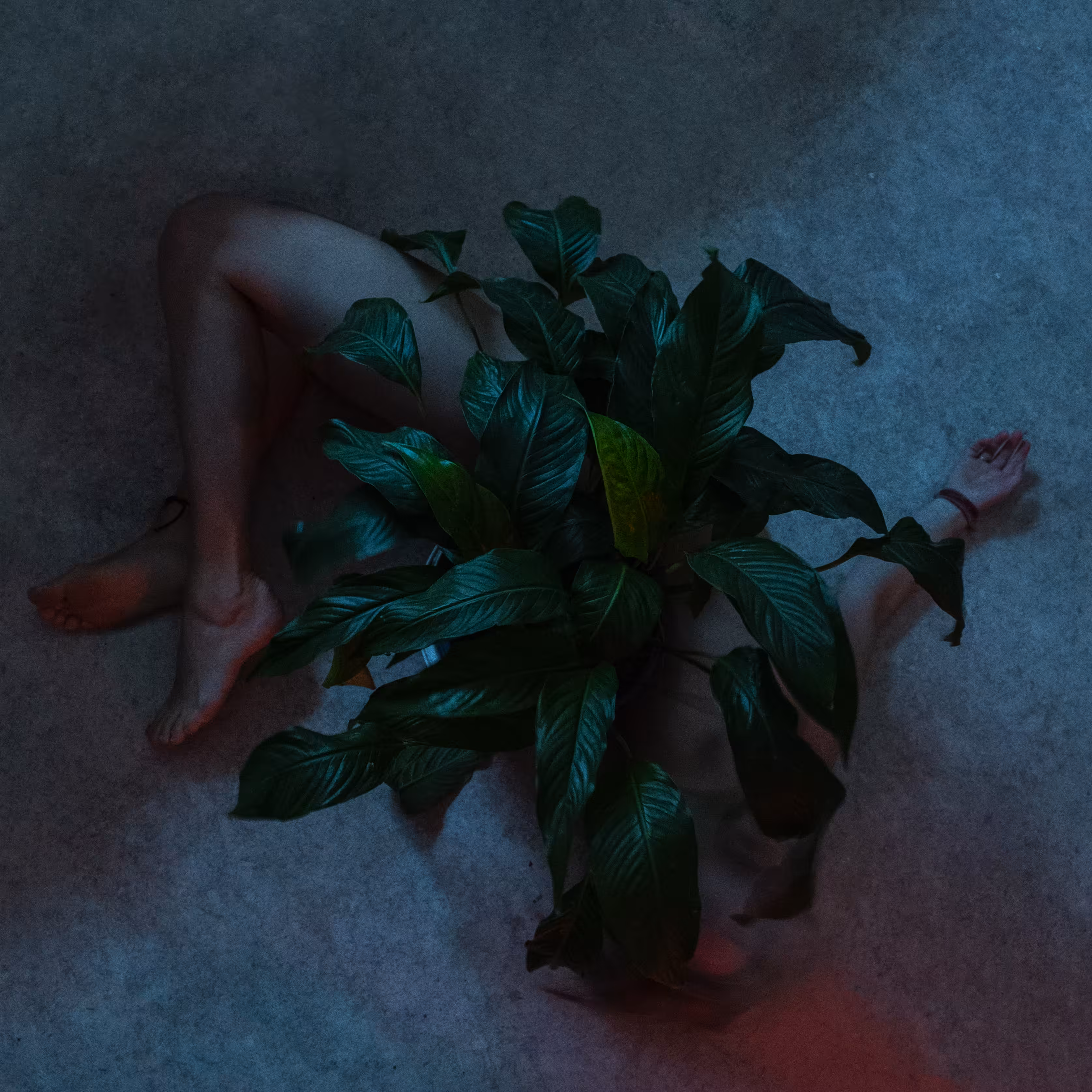 Connecting With Emotions