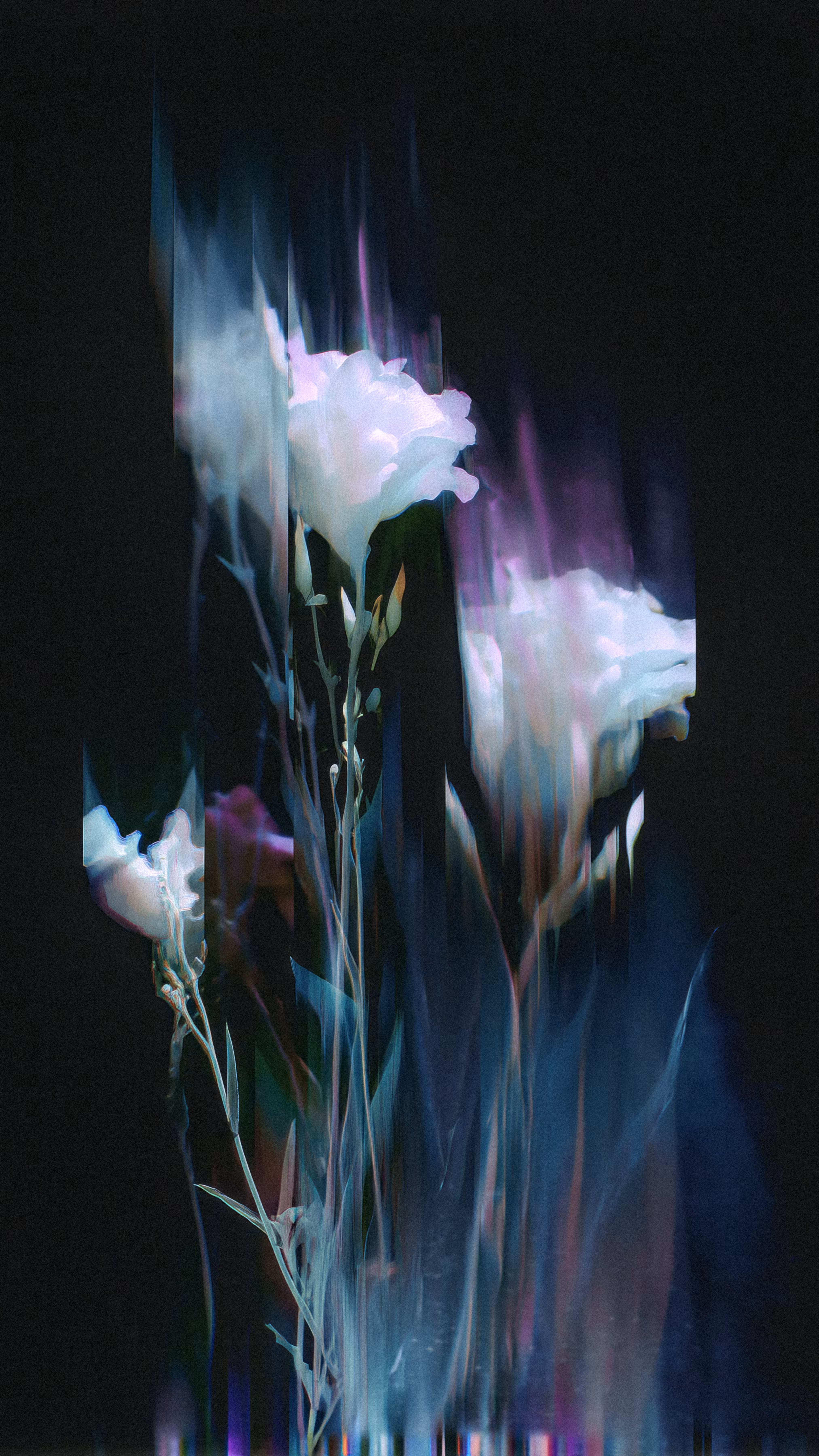 Wilting 