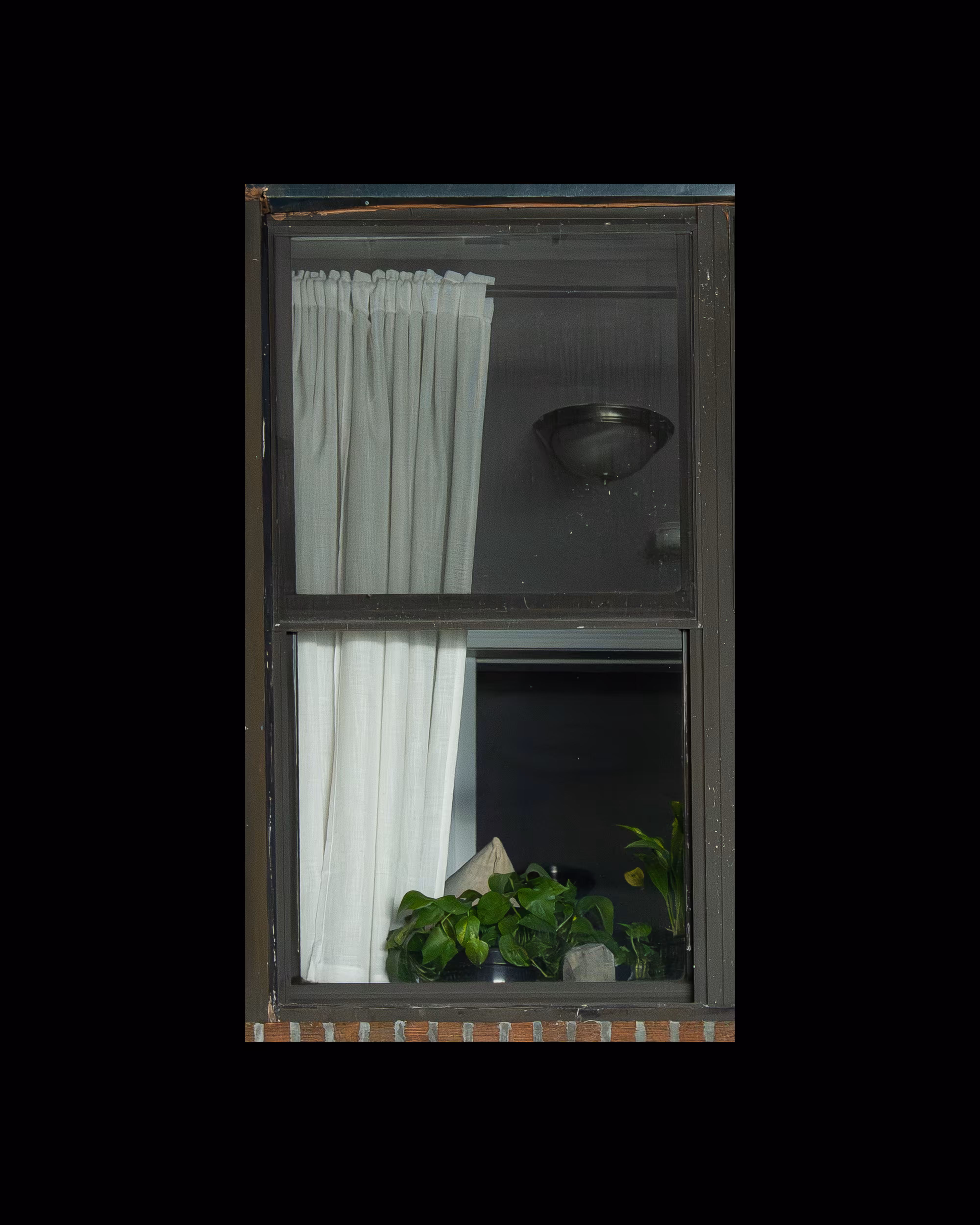 WINDOWS // NYC: WINDOW 896