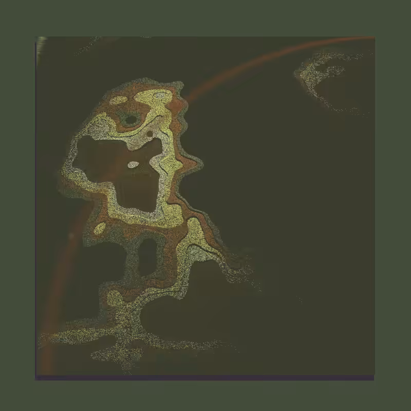 Atypical Lands #114