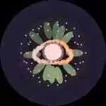 Floral Orbit
