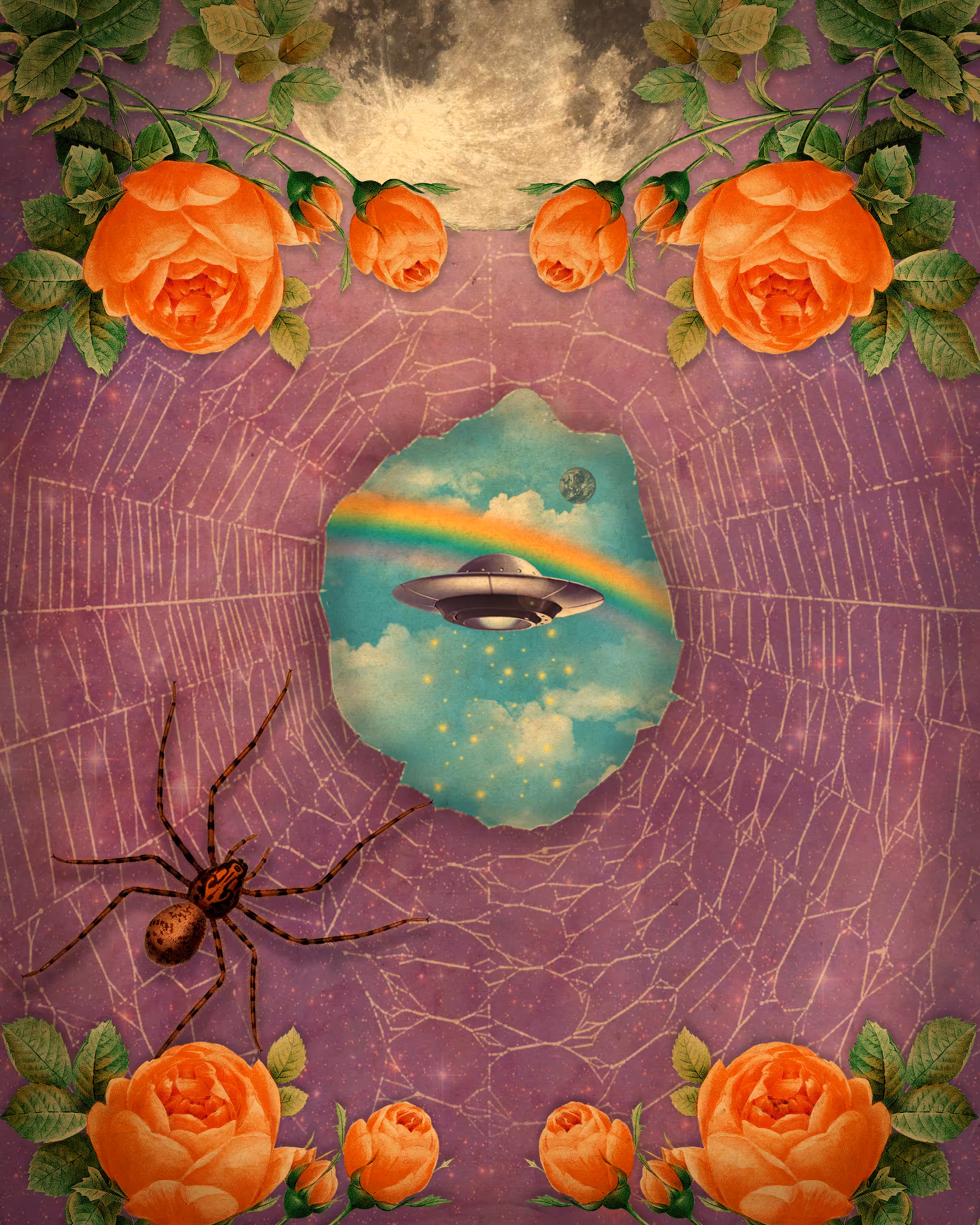 Within the Web