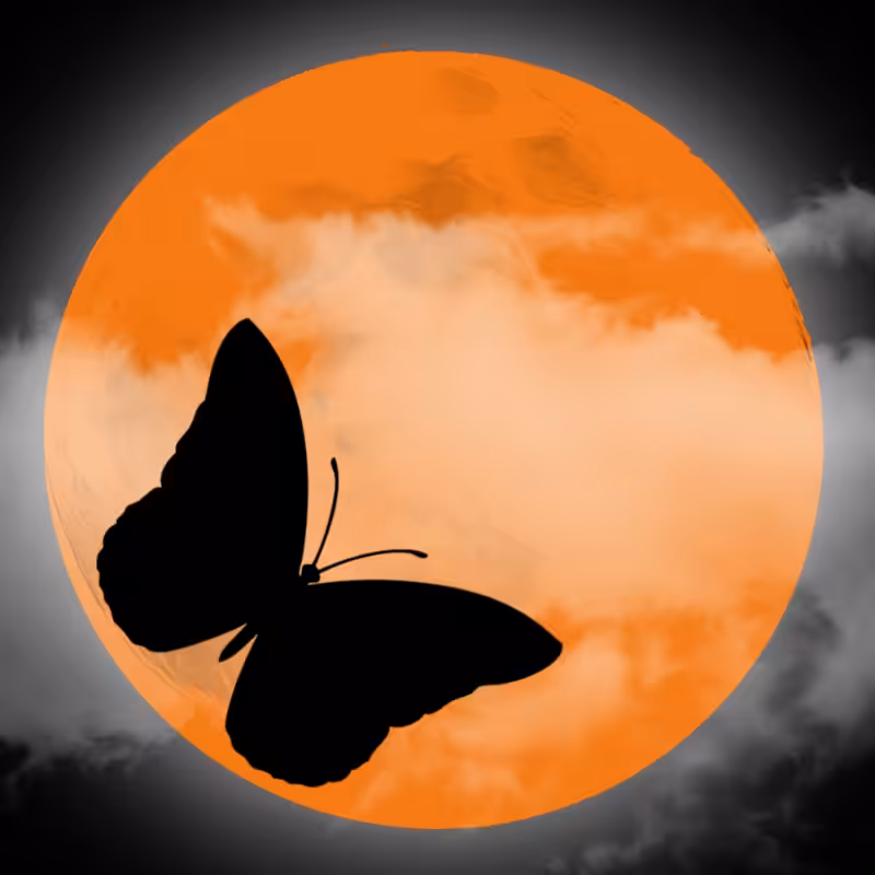 We Care...Butterfly #10