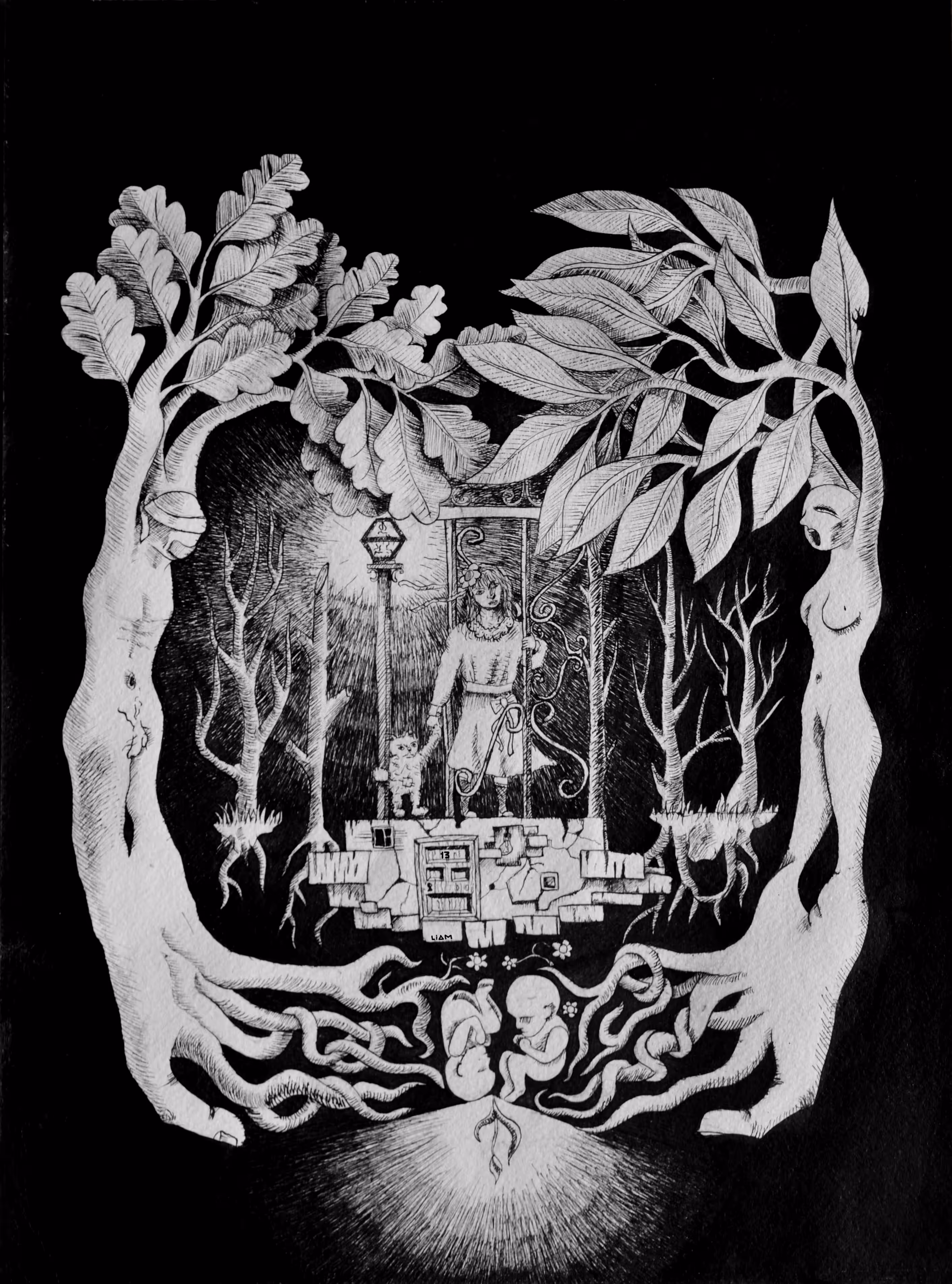 liamstone