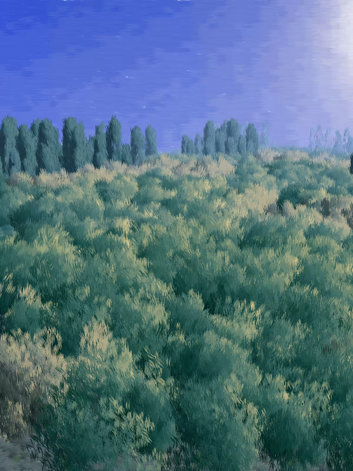 Provence #245
