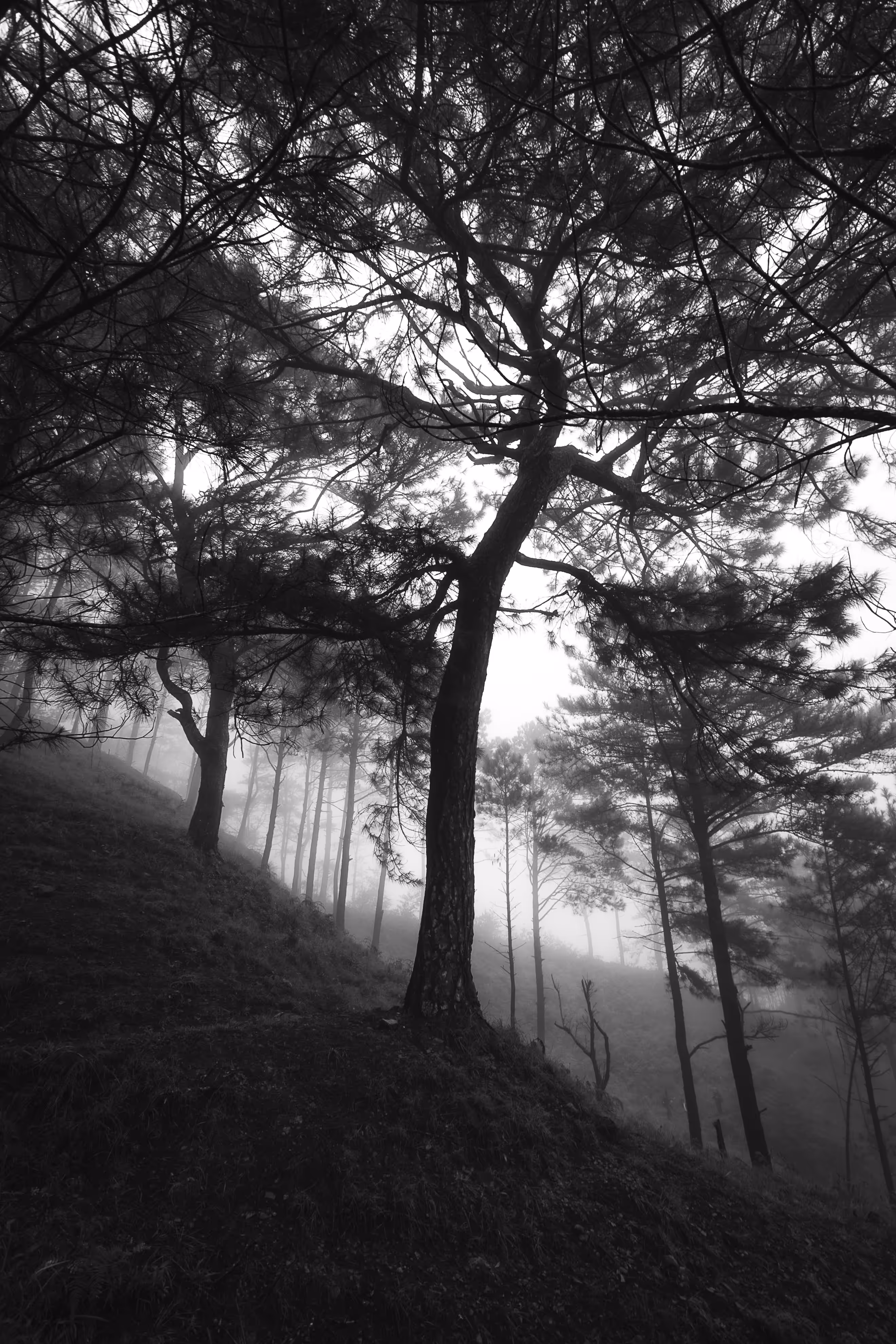 A Sense Of Timelessness