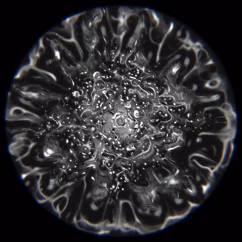 Ethereal Microcosm #221