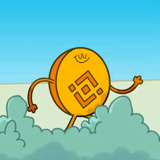 14. Binance Coin Funeral