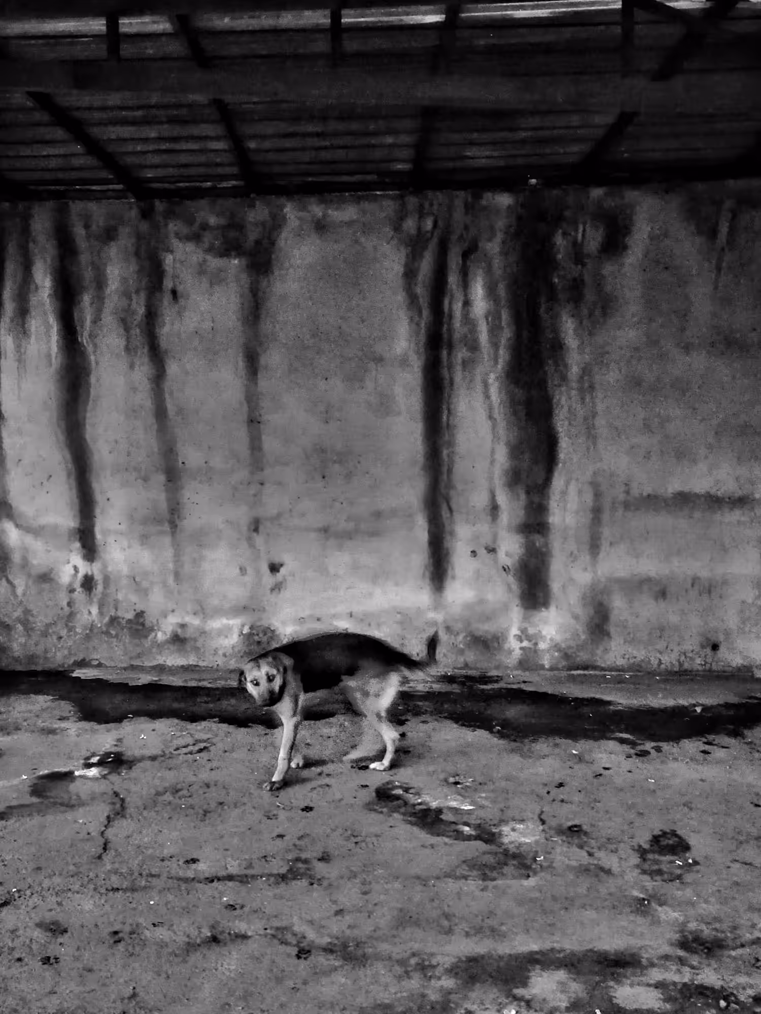 Isolated 
