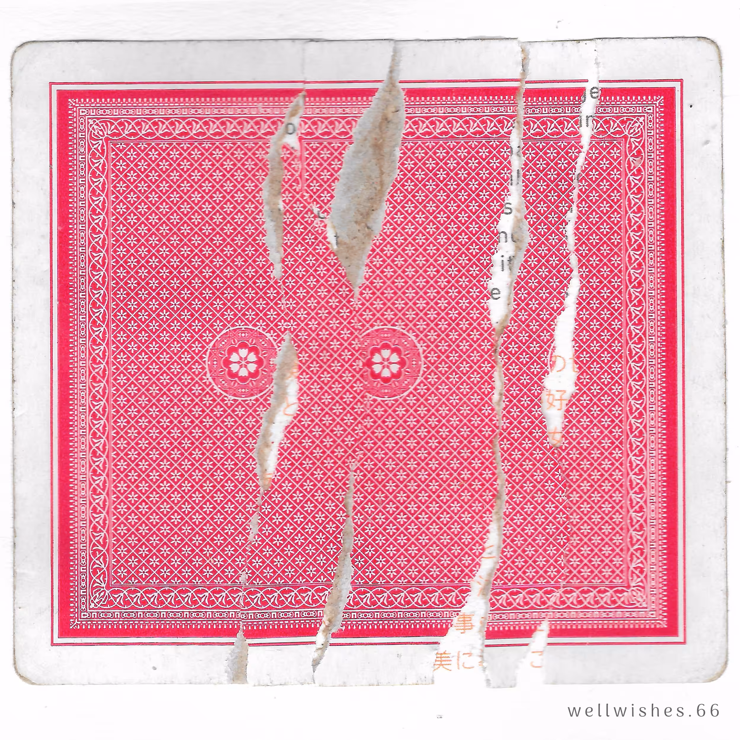 wellwishes 66