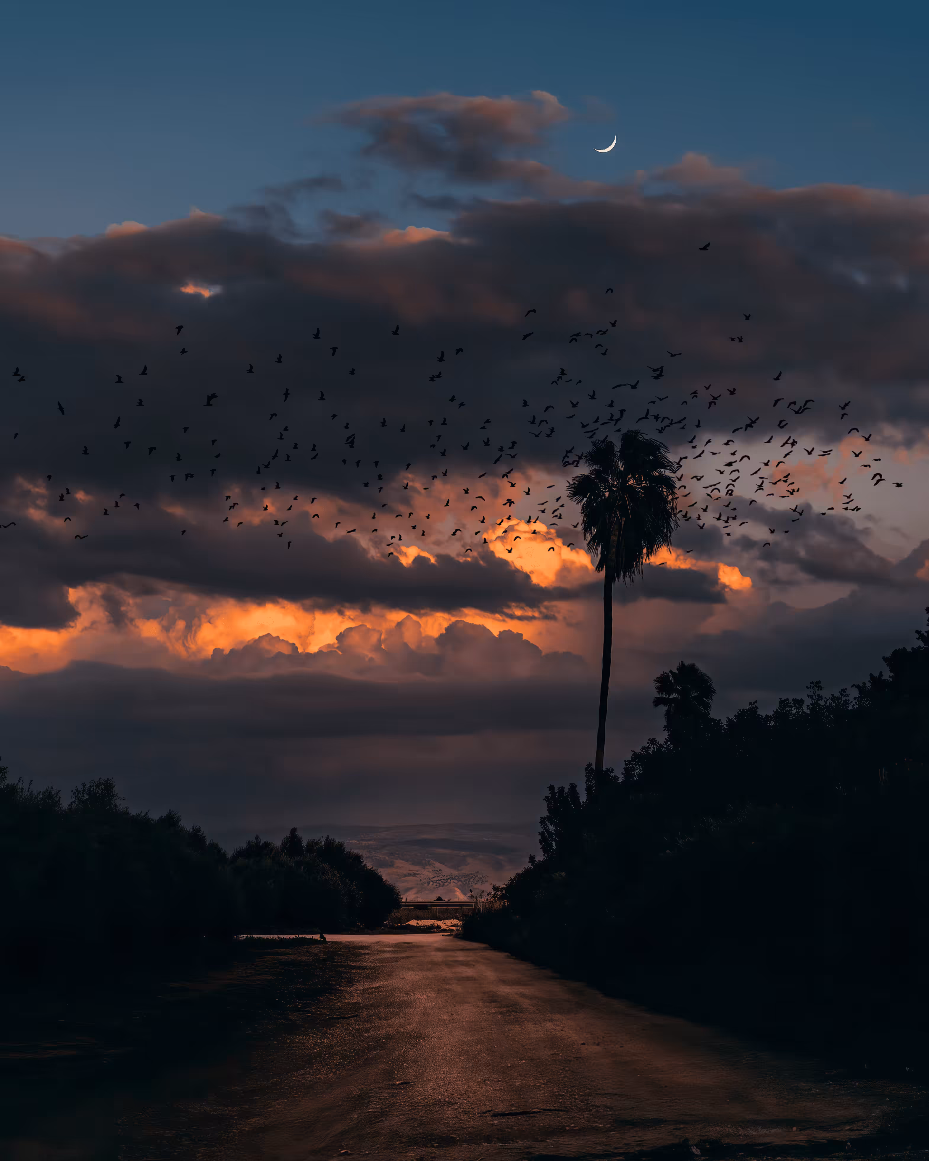 Flock of Us #31
