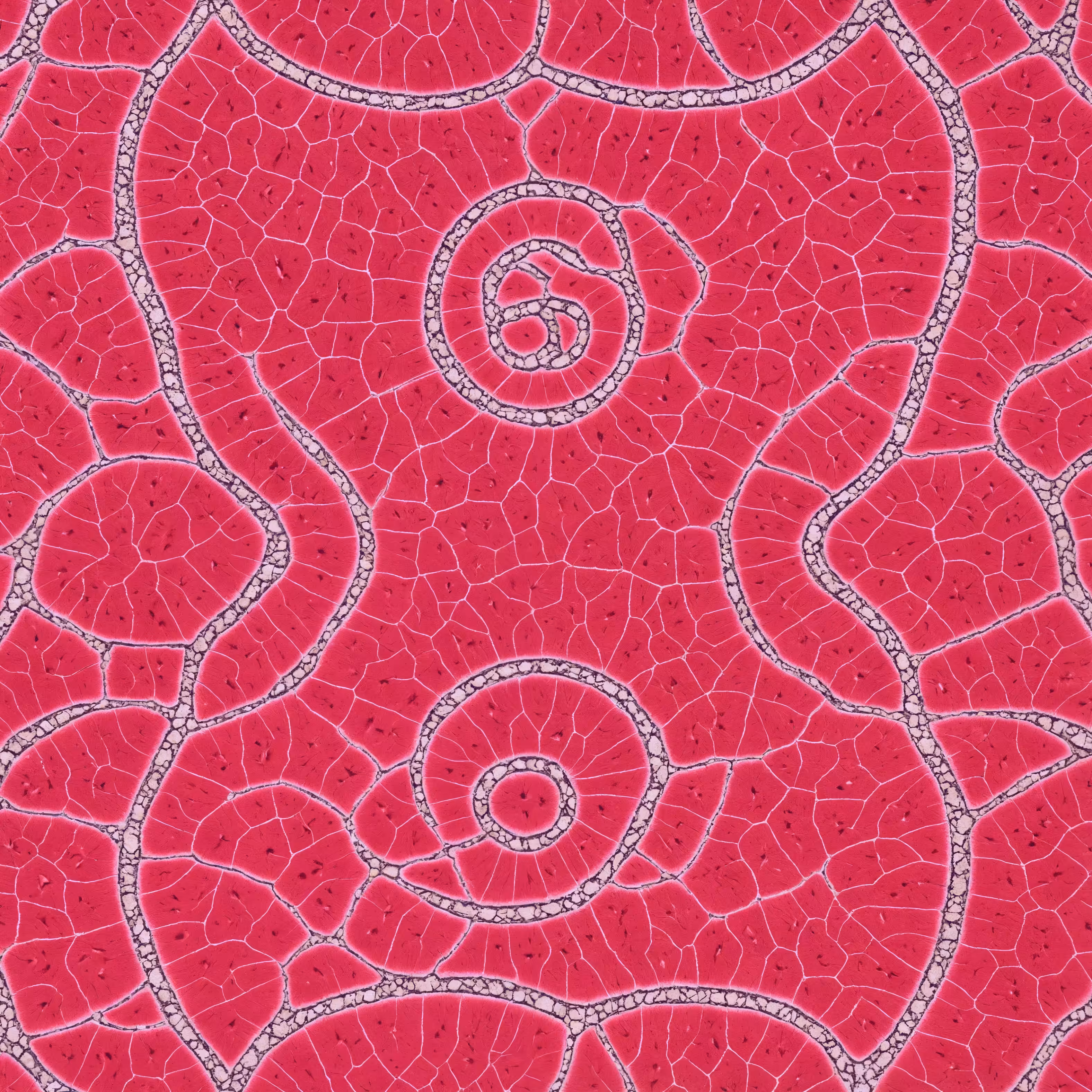 Gucci Mitochondria 8K