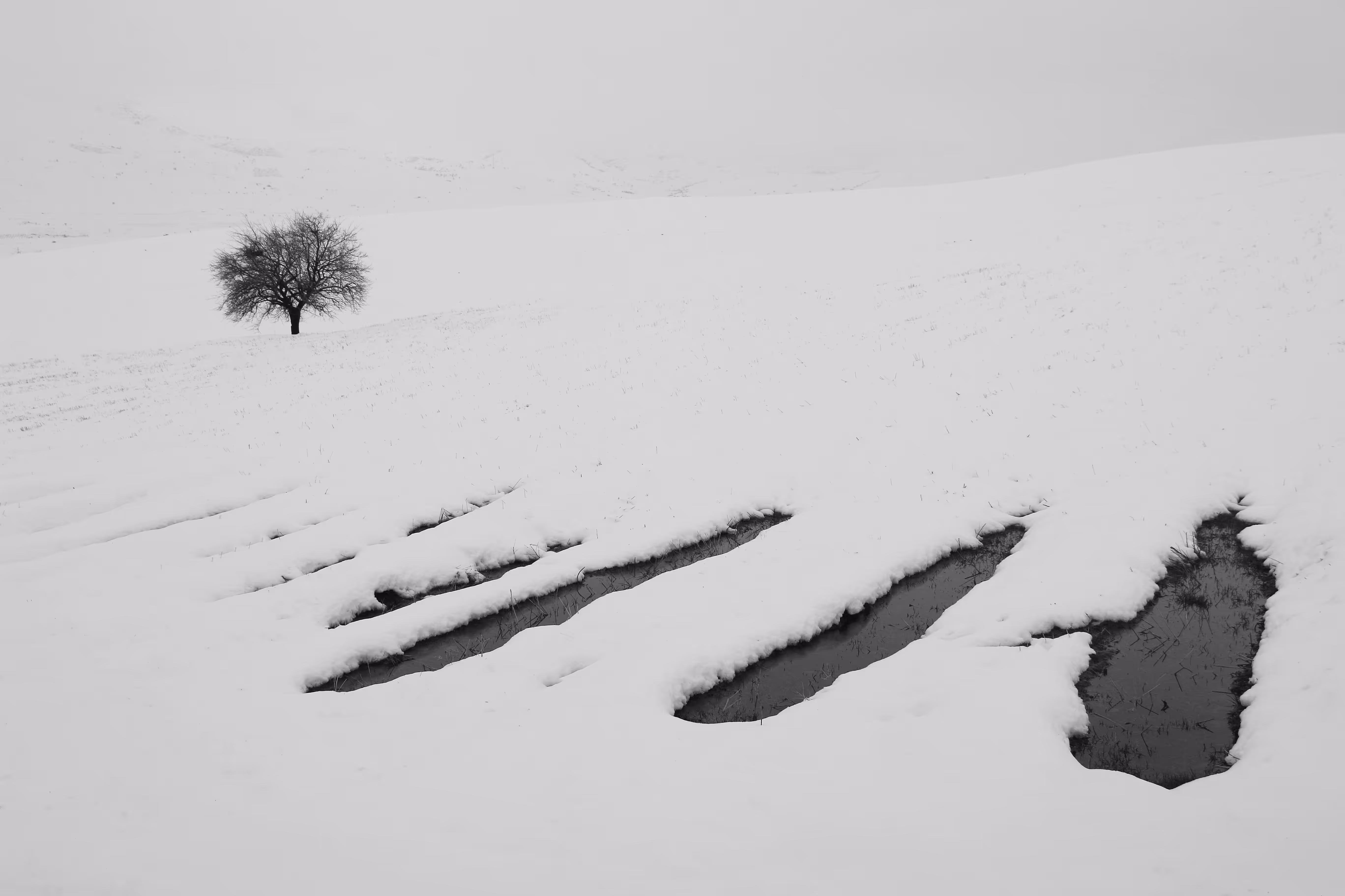 Silence
