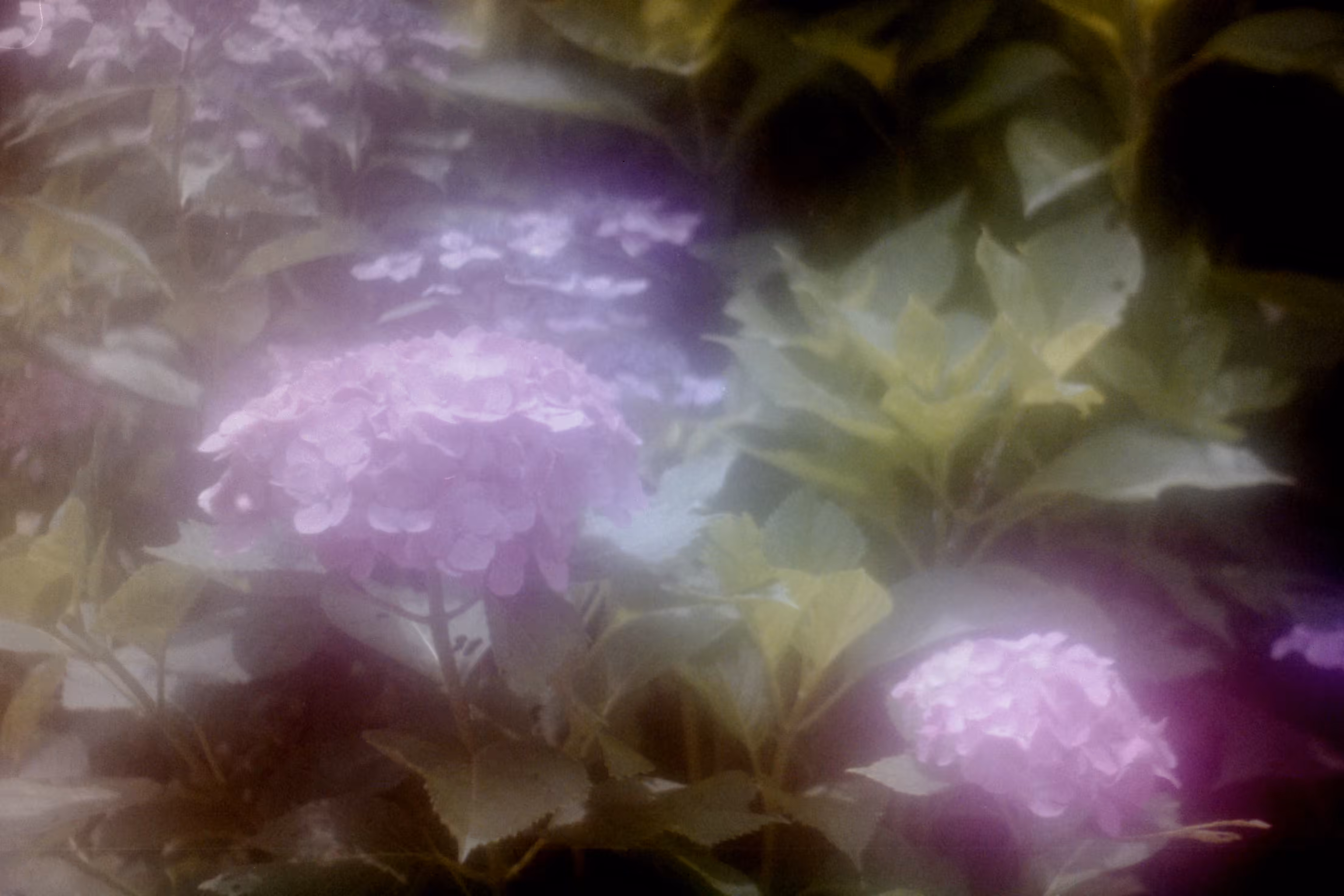 Heaven Series: The World of Film - Beautiful World