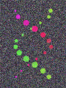 [GEN 0]origin of the universe [polygon]: DNA