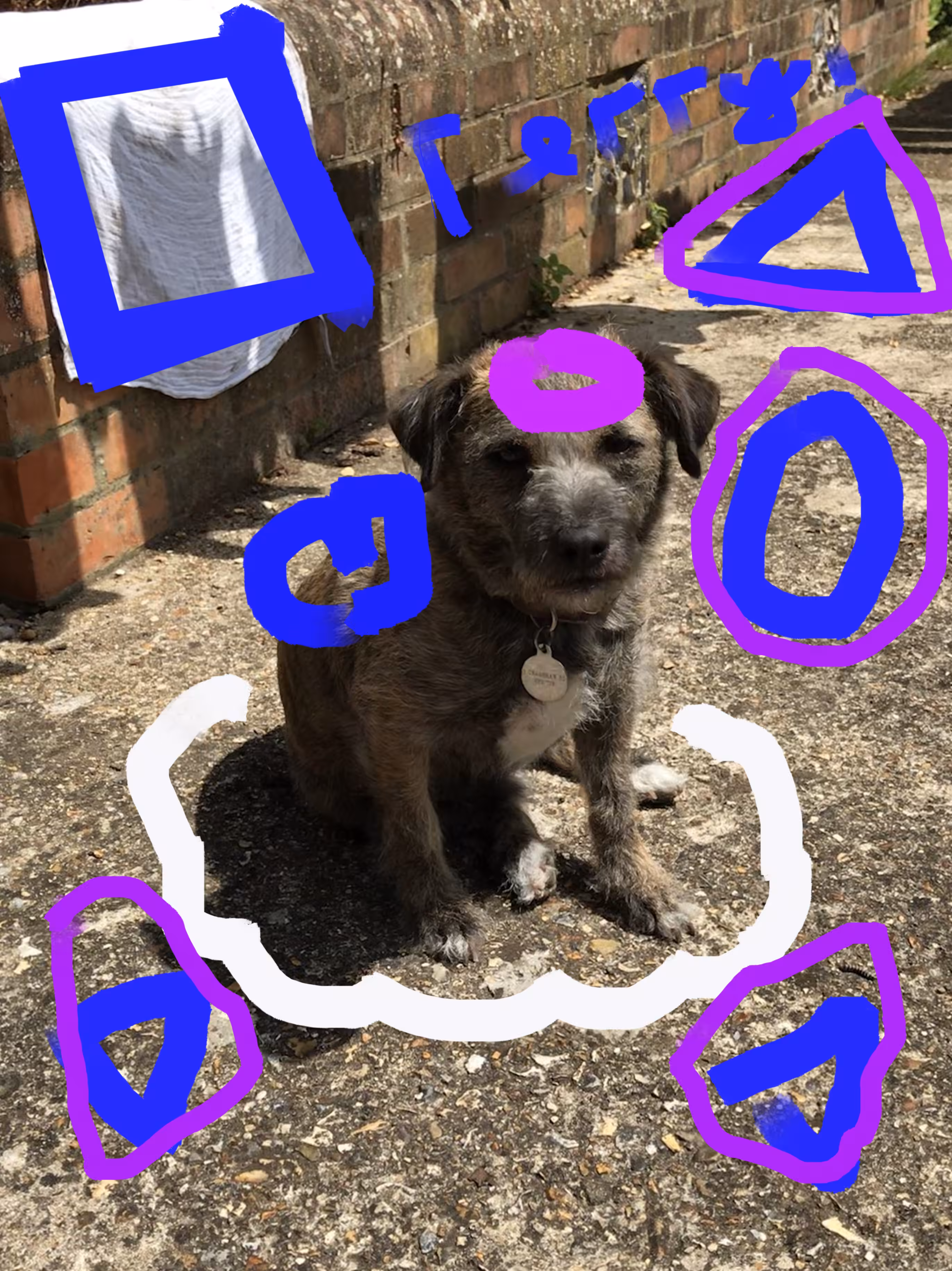 Terry 001