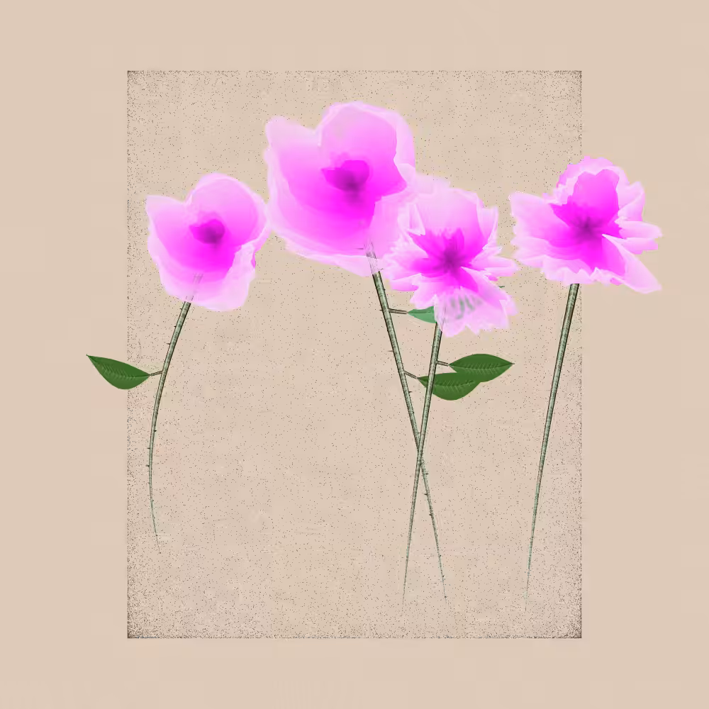 Magnolia #103