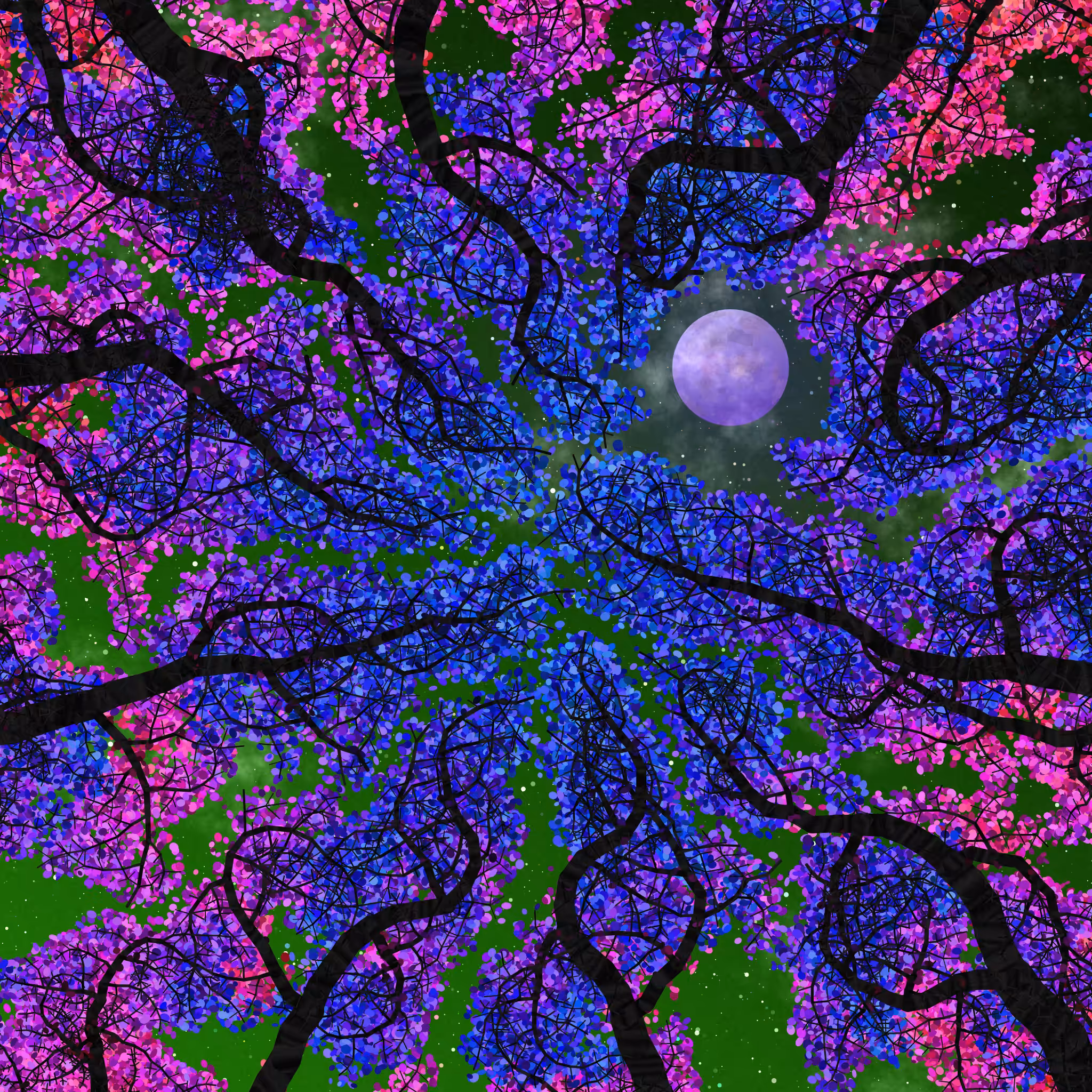 Tree Skyness #144