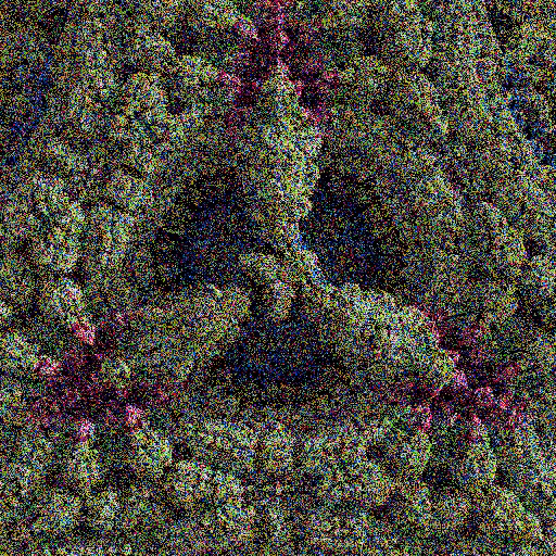 Lichenoid forms #26