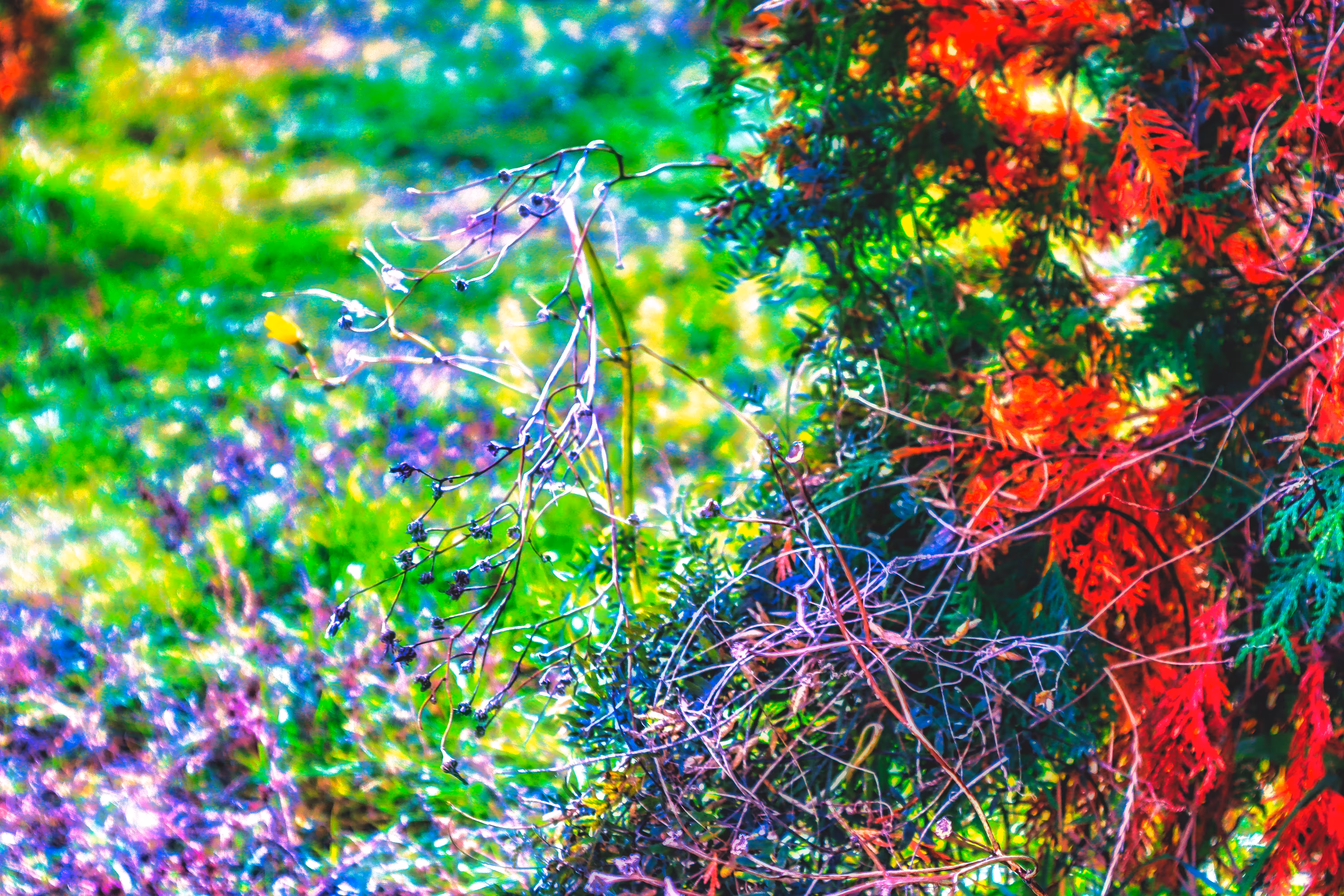 2022: Dry nature