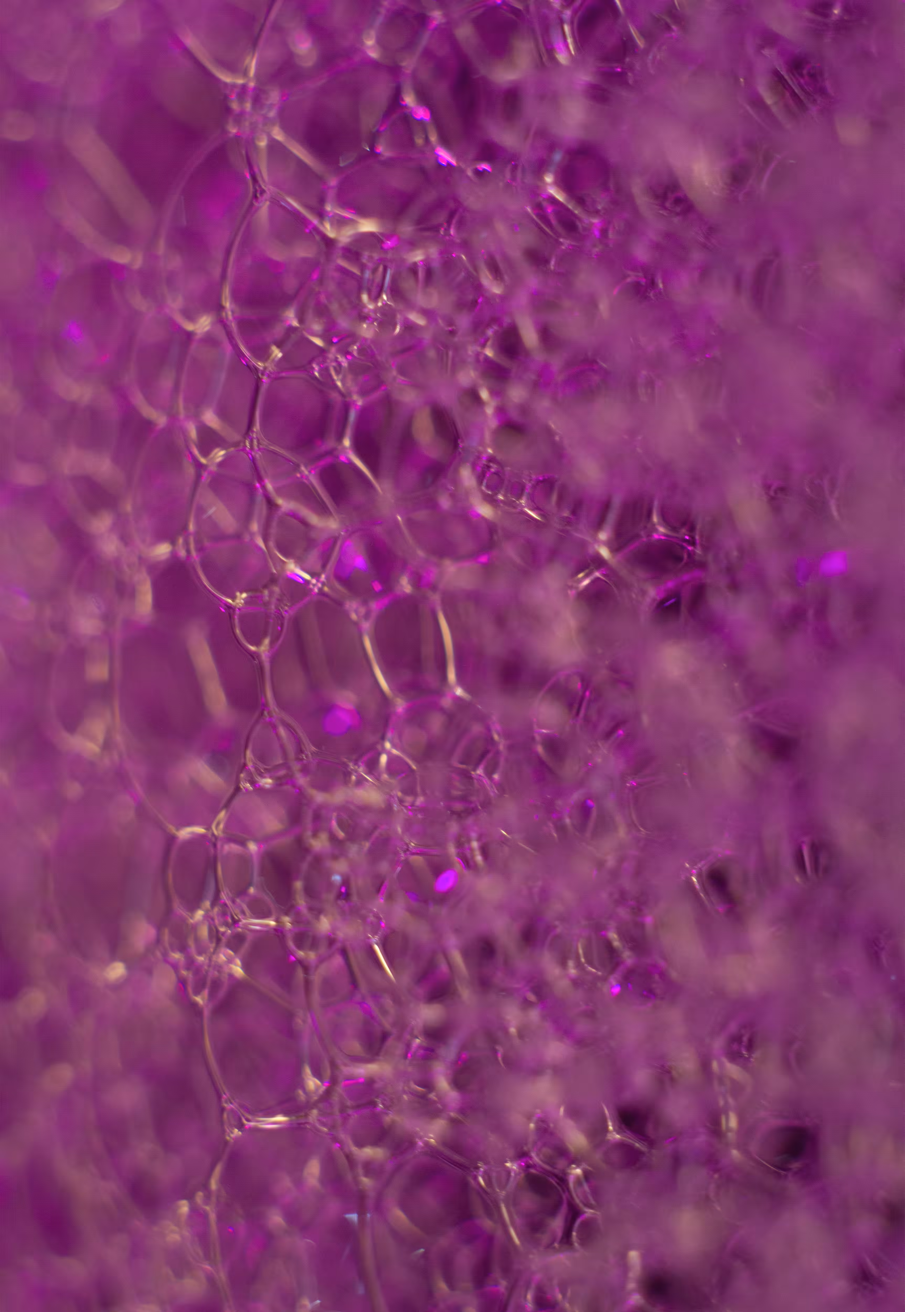 Abstract World of Soap Bubbles: #228 Bubbles