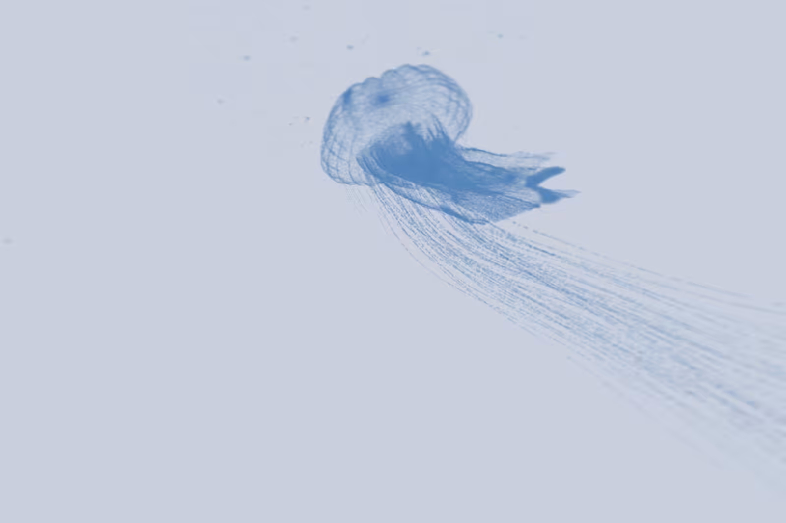 Turtle Vision #234