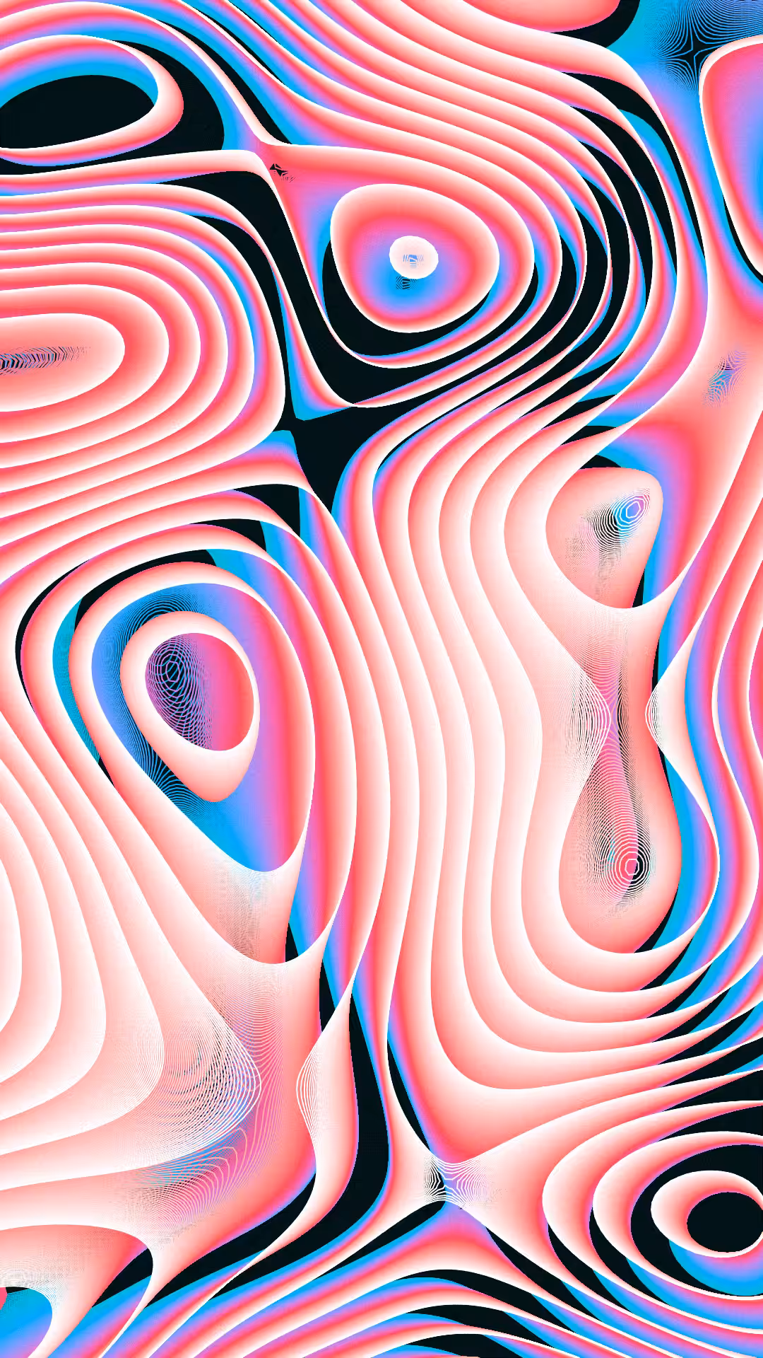 FLUID / Announcement