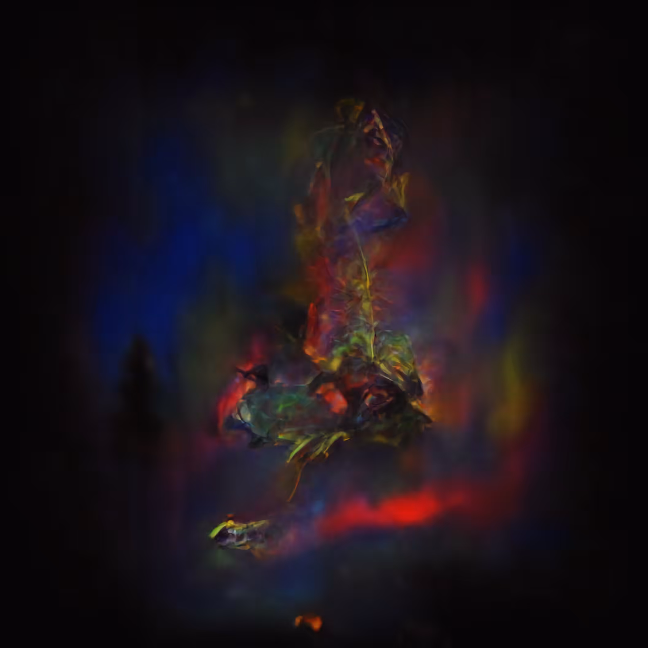 Fire Frame #1