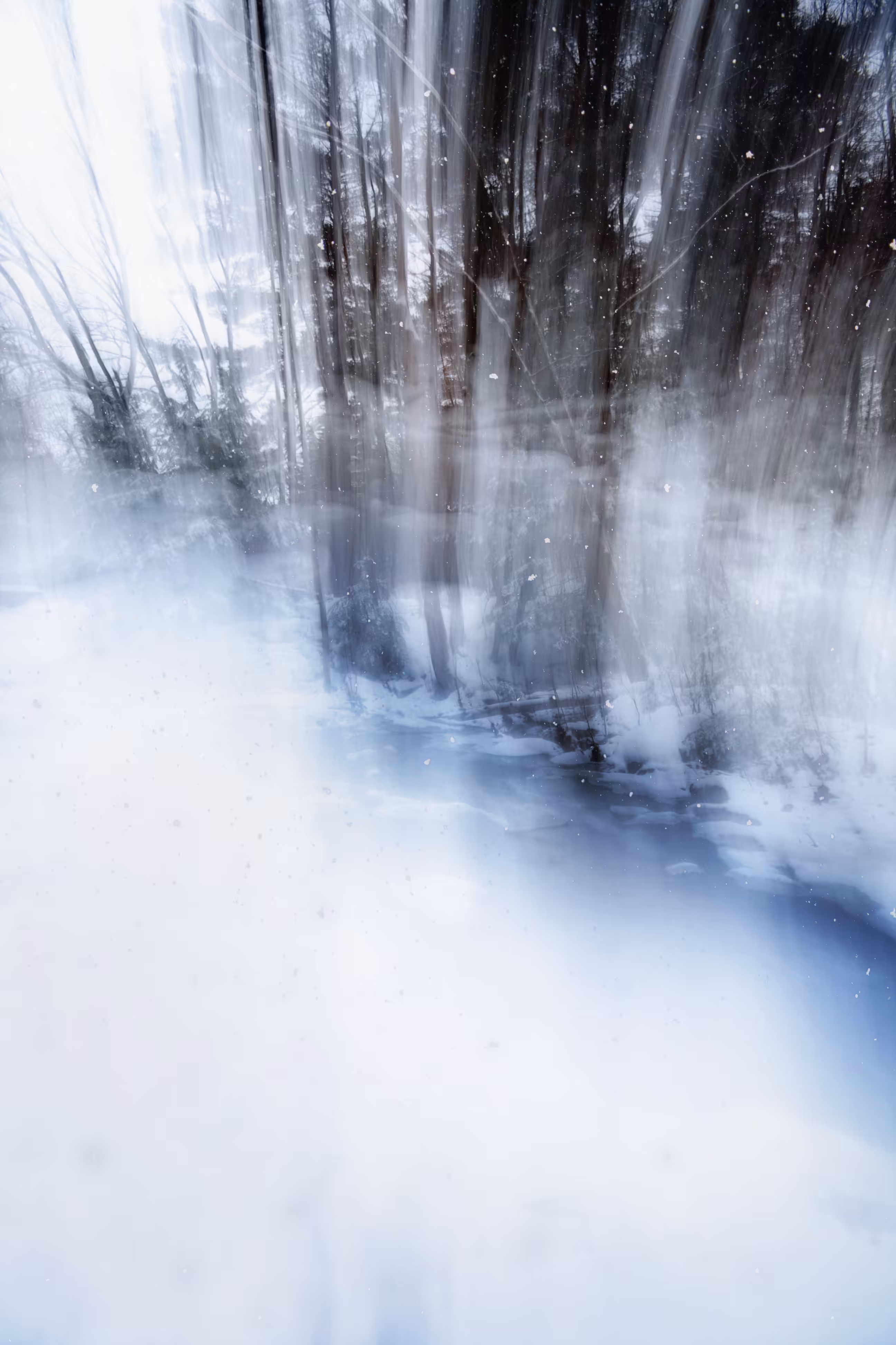ICM 03