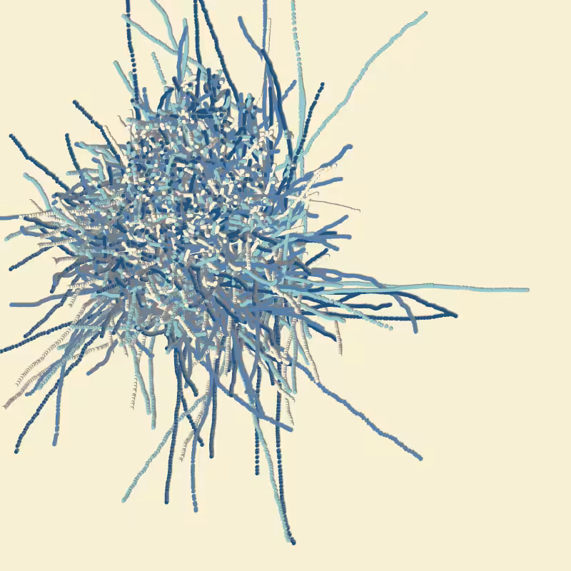 fibinous infection #2
