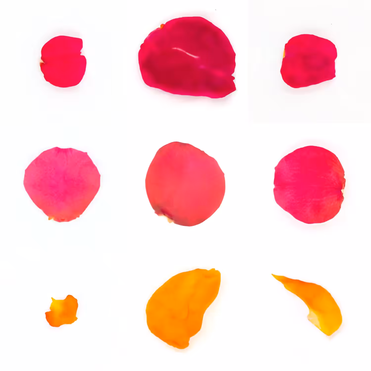 Infinite Petals 3x3#3435