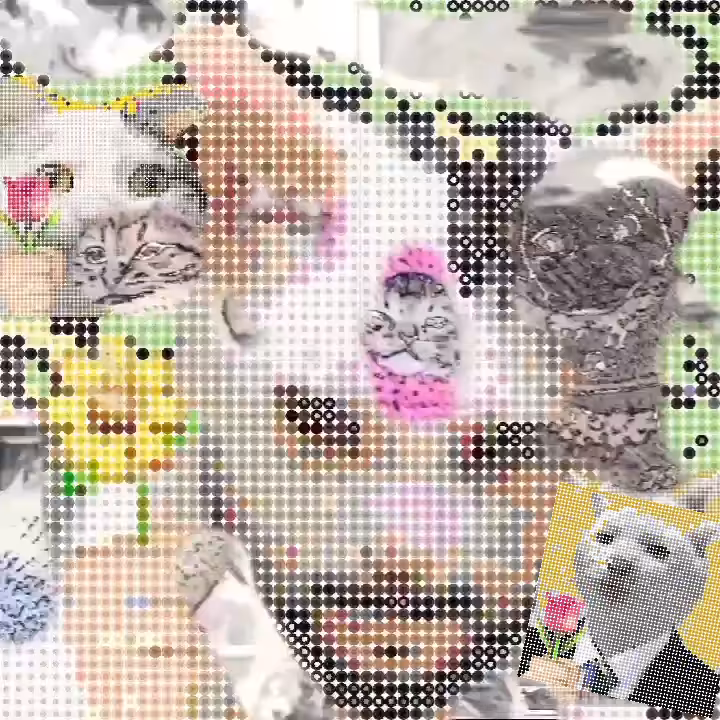 LOS GATOS !