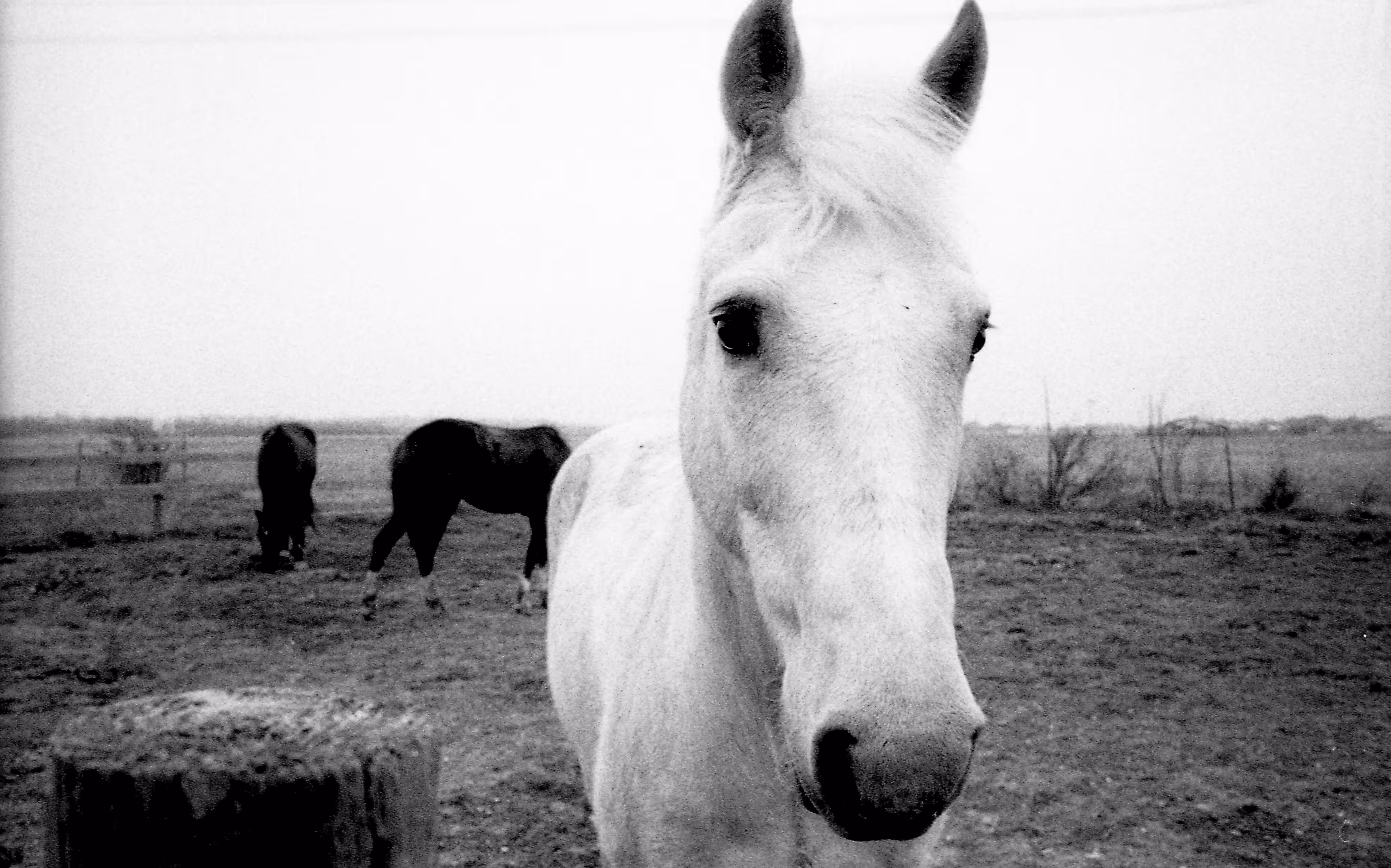 Somewhere outside of Austin, TX.