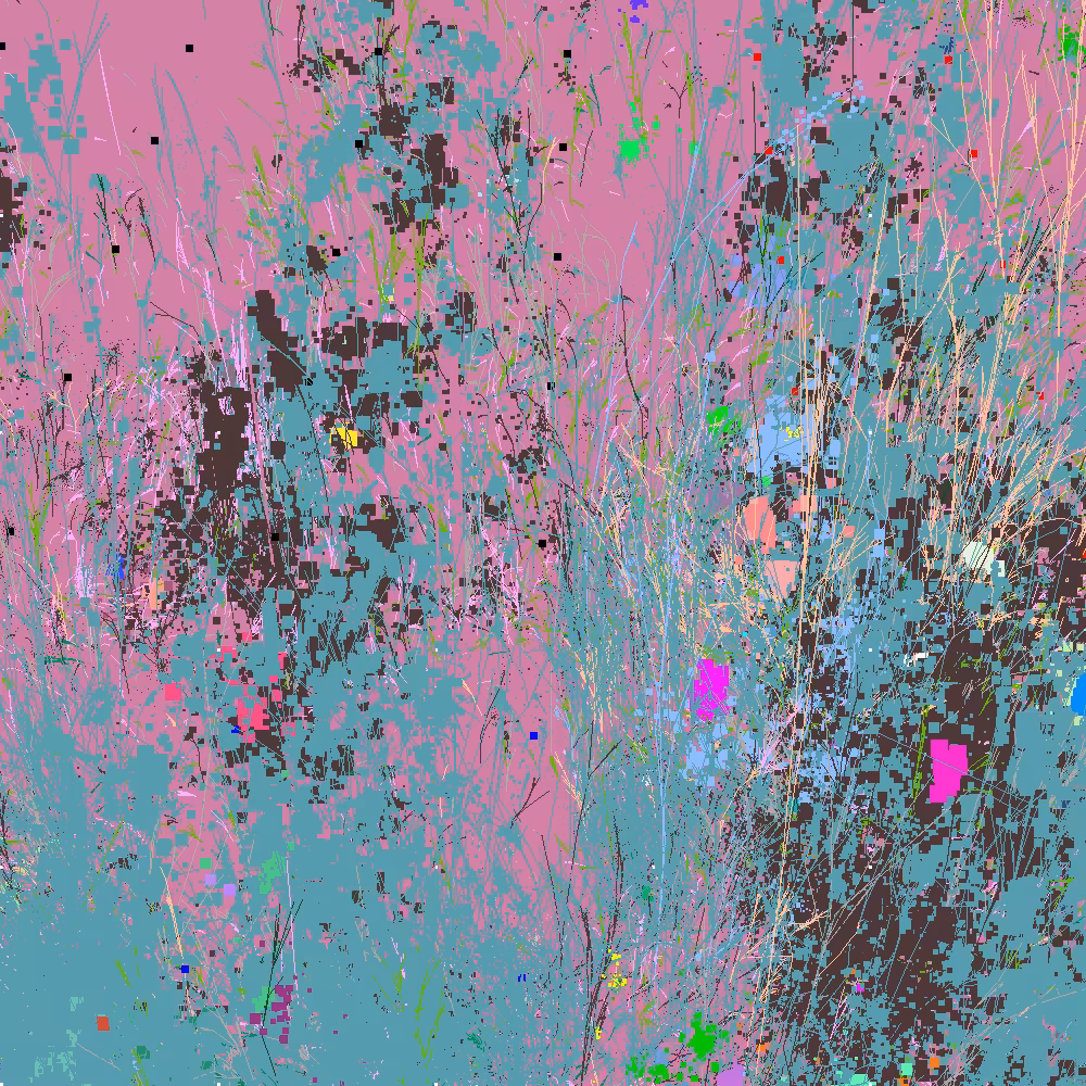 Infinite Garden: 72449 Flowers