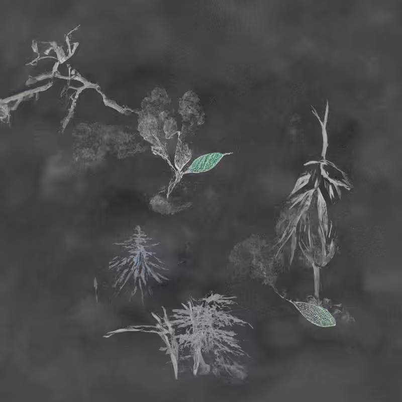 Hauntological Herbarium #49